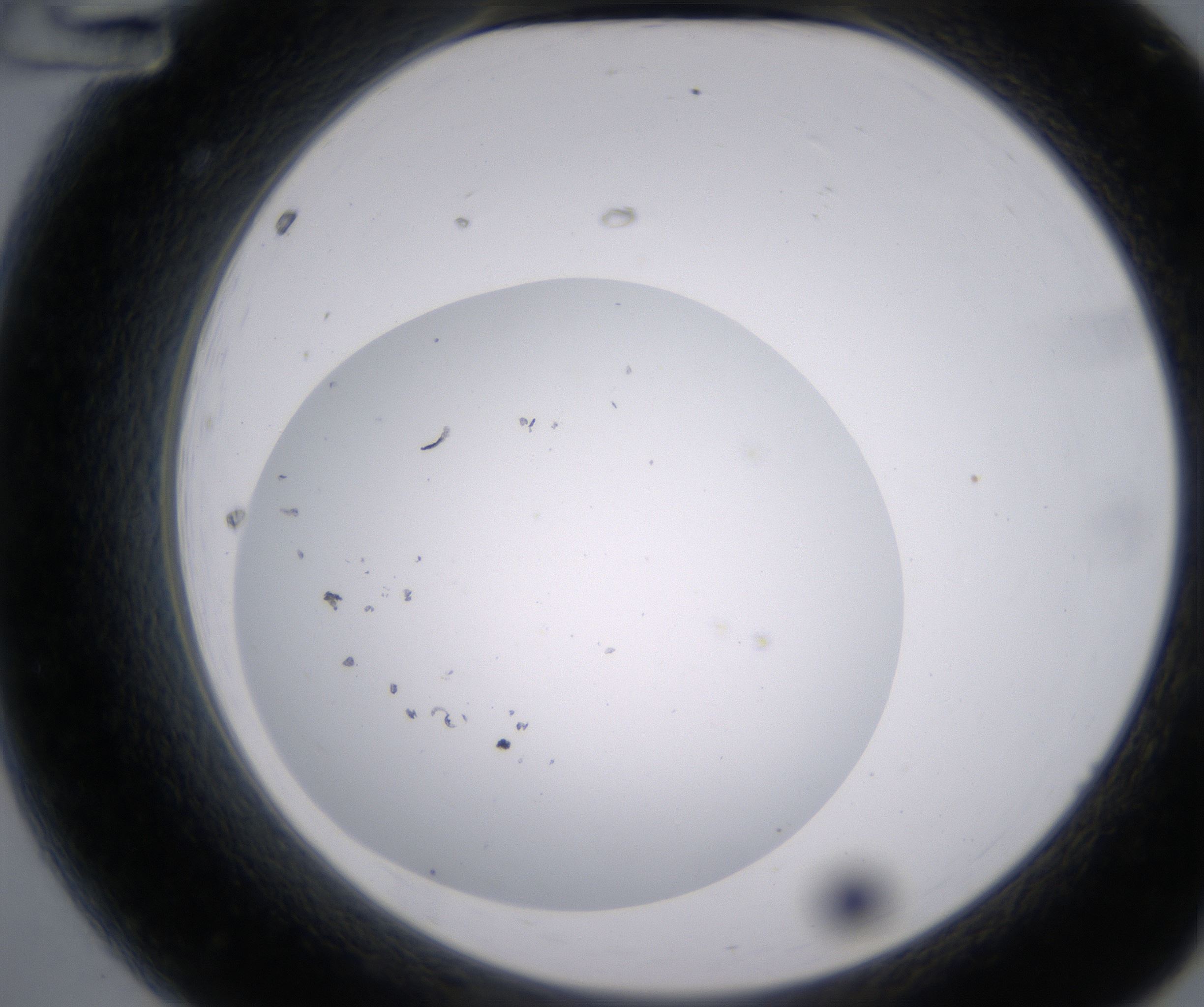 A12_HighResolution_Precipitate_2.jpg