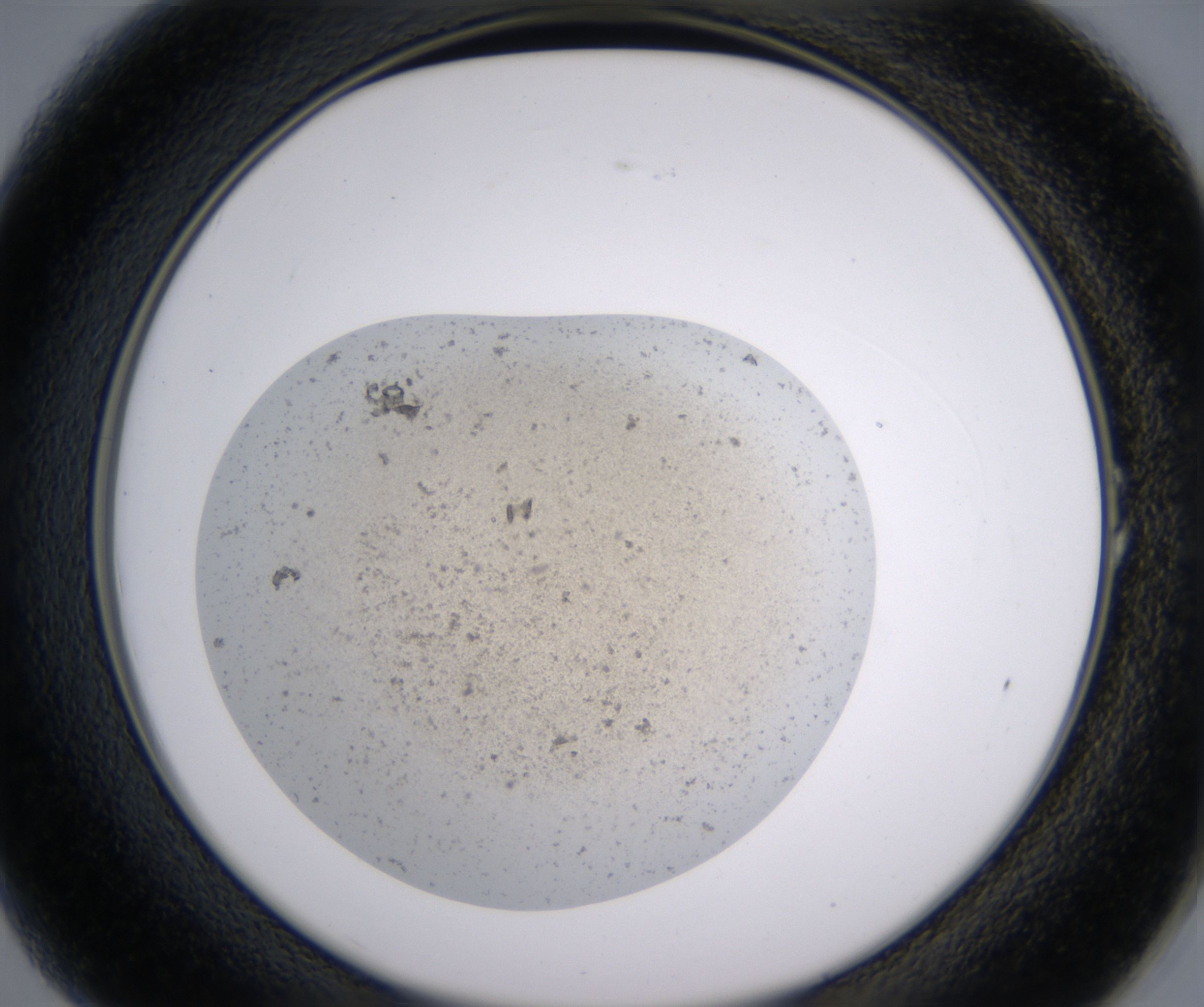 A1_HighResolution_Precipitate_2.jpg