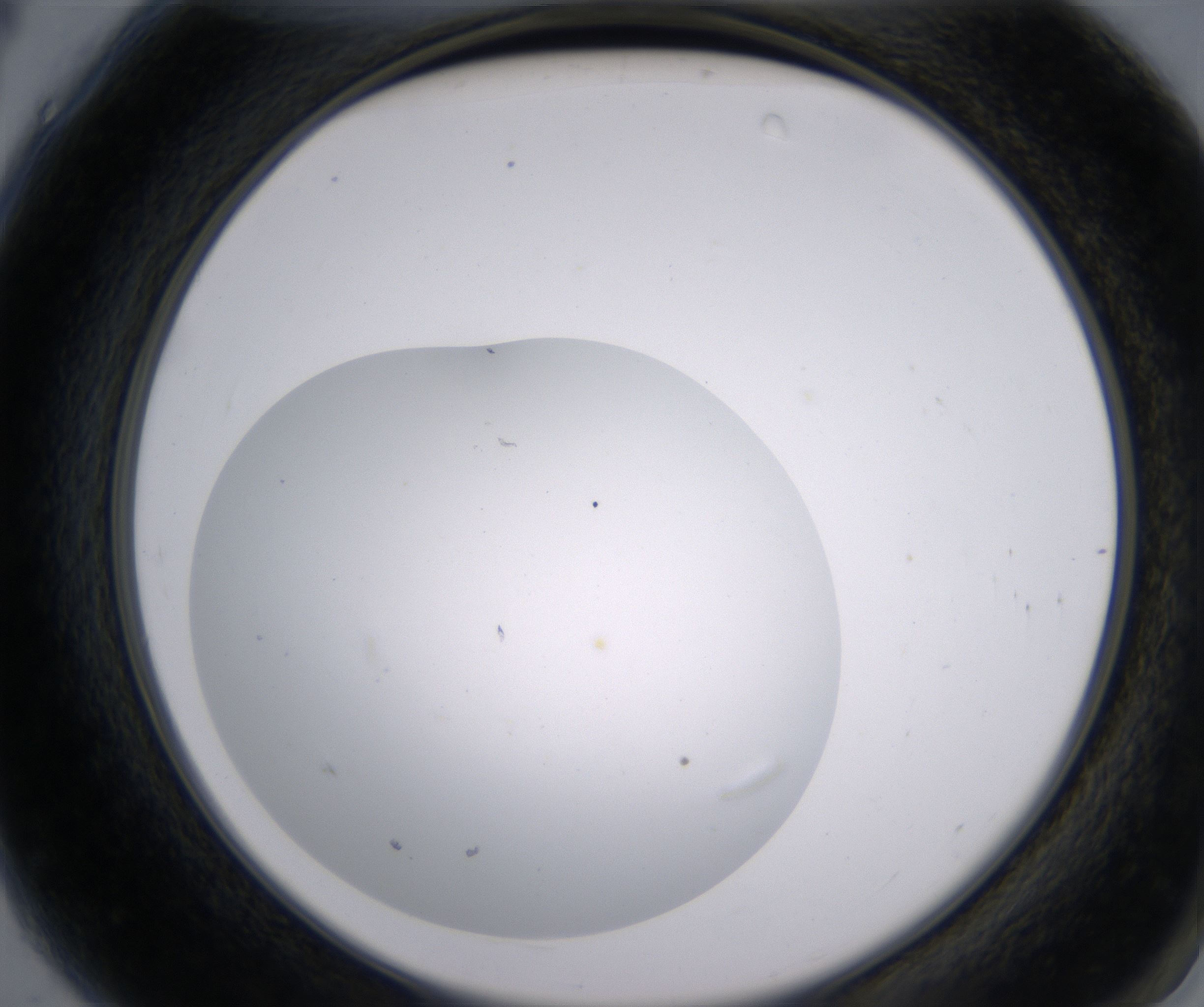 A4_HighResolution_Clear_2.jpg
