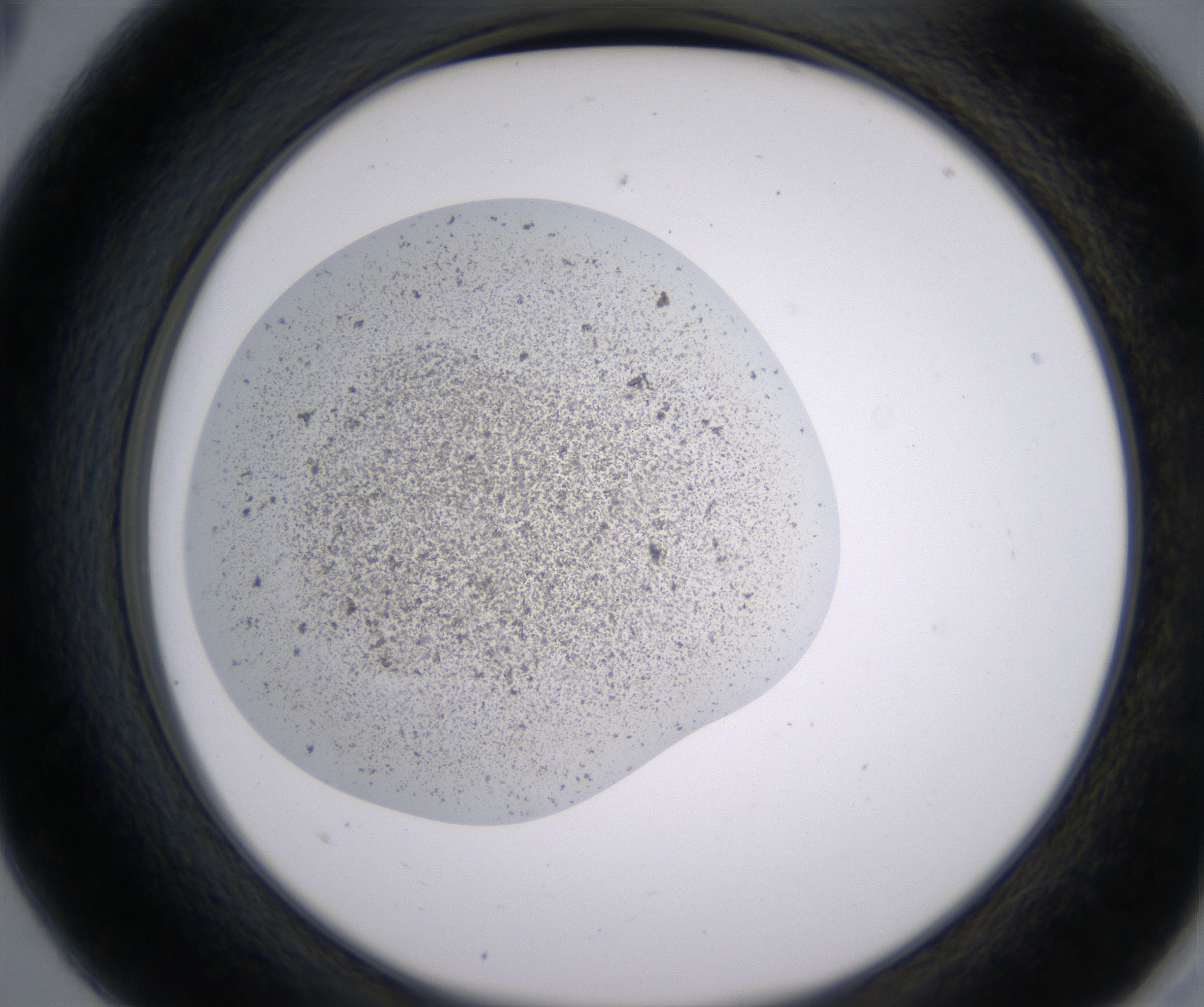 A5_HighResolution_Precipitate_2.jpg