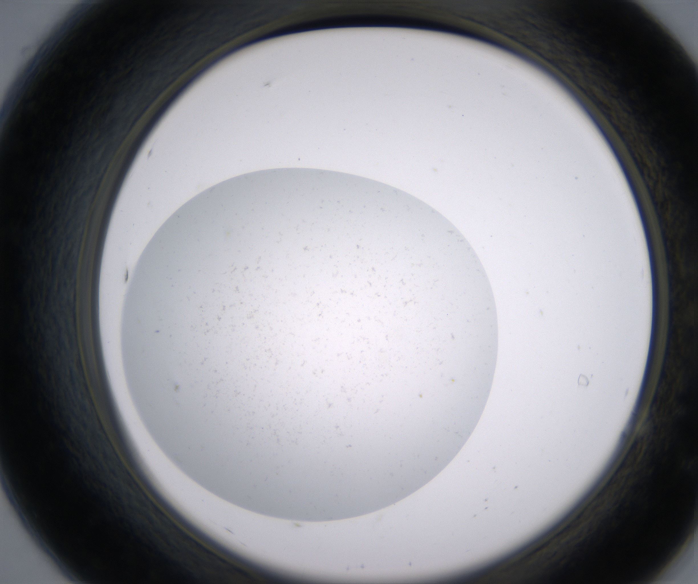 A7_HighResolution_Precipitate_2.jpg