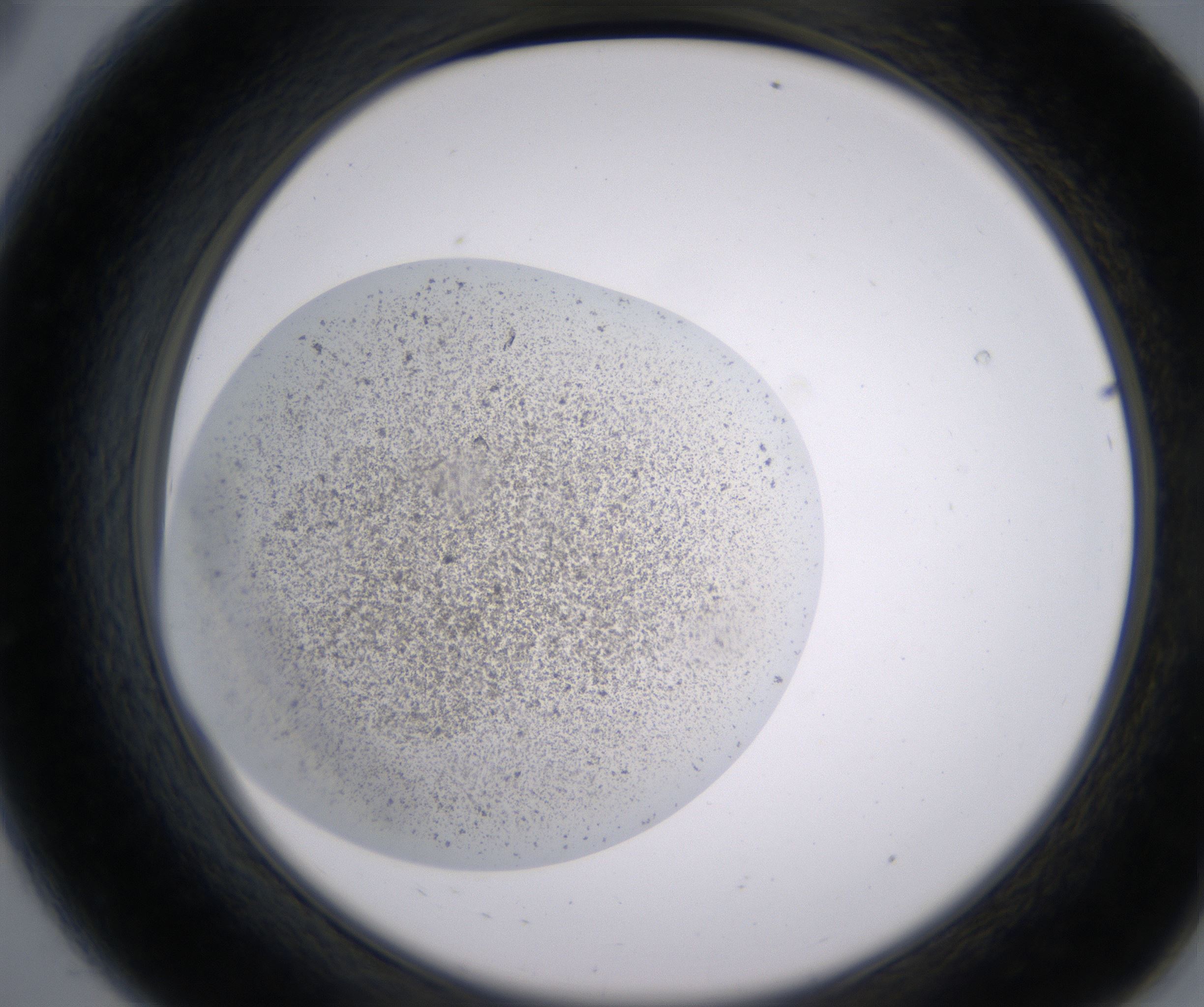 A8_HighResolution_Precipitate_2.jpg