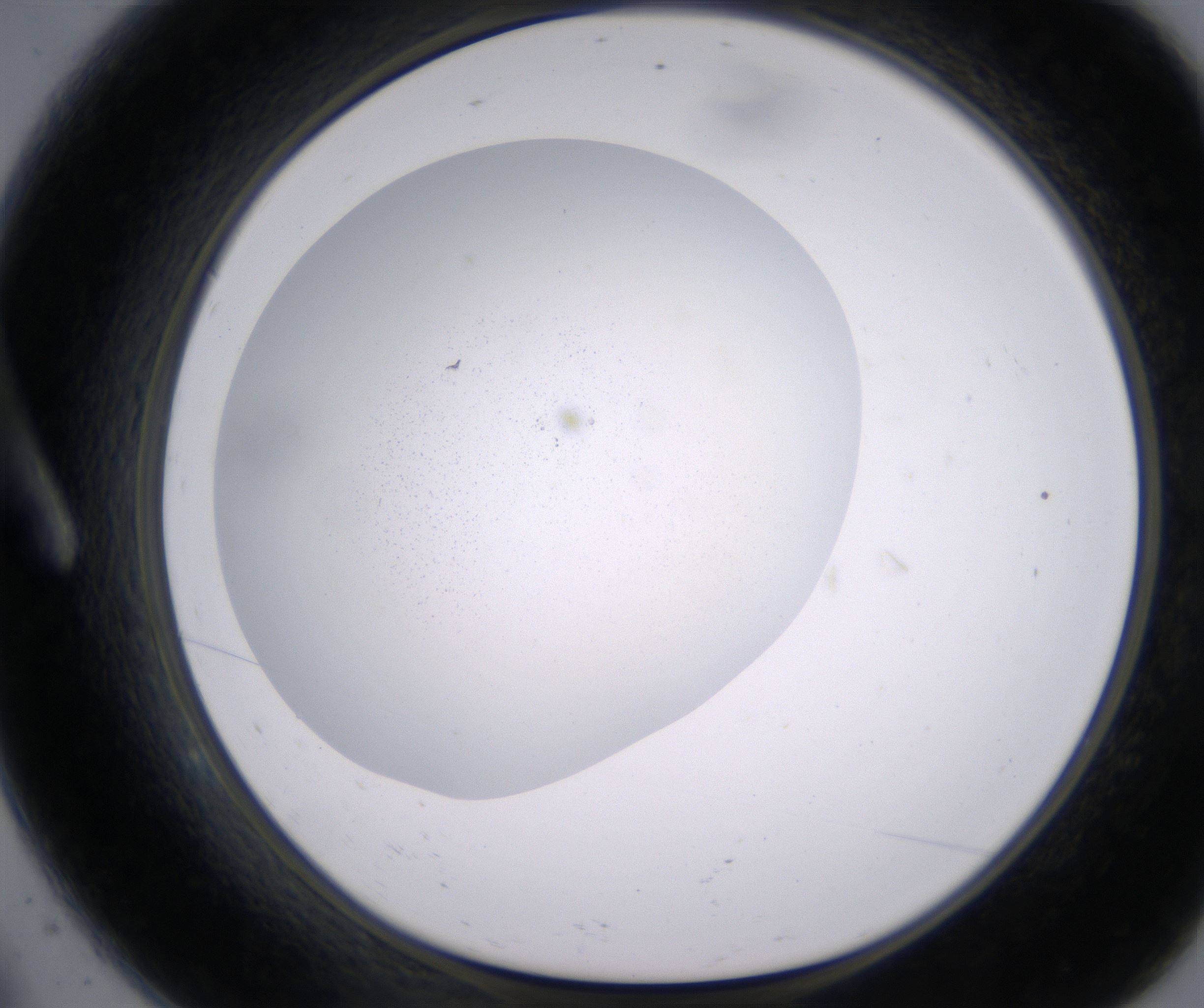 A9_HighResolution_Precipitate_1.jpg