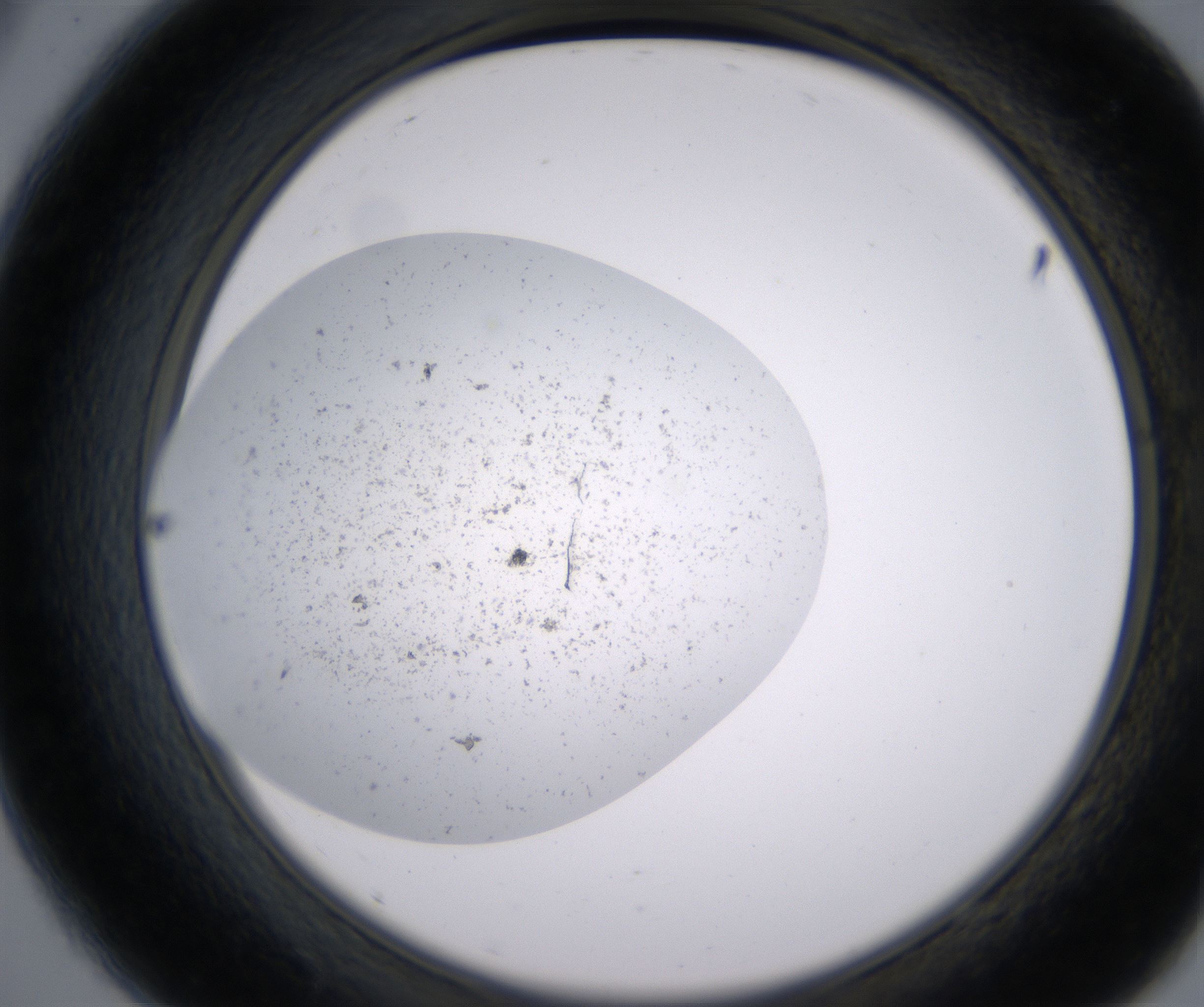 A9_HighResolution_Precipitate_2.jpg