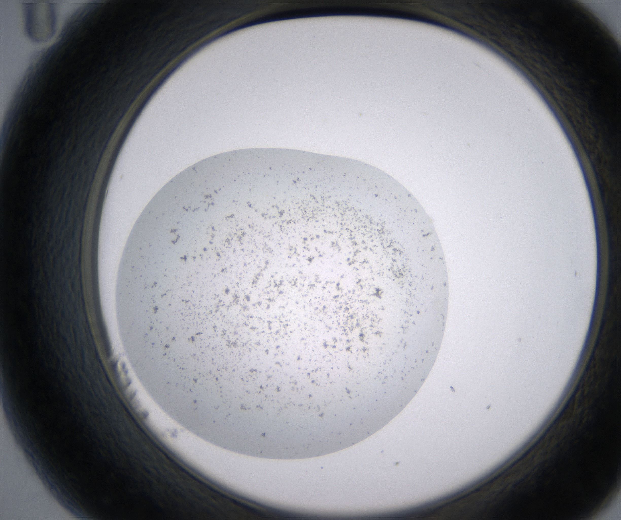 B11_HighResolution_Precipitate_2.jpg