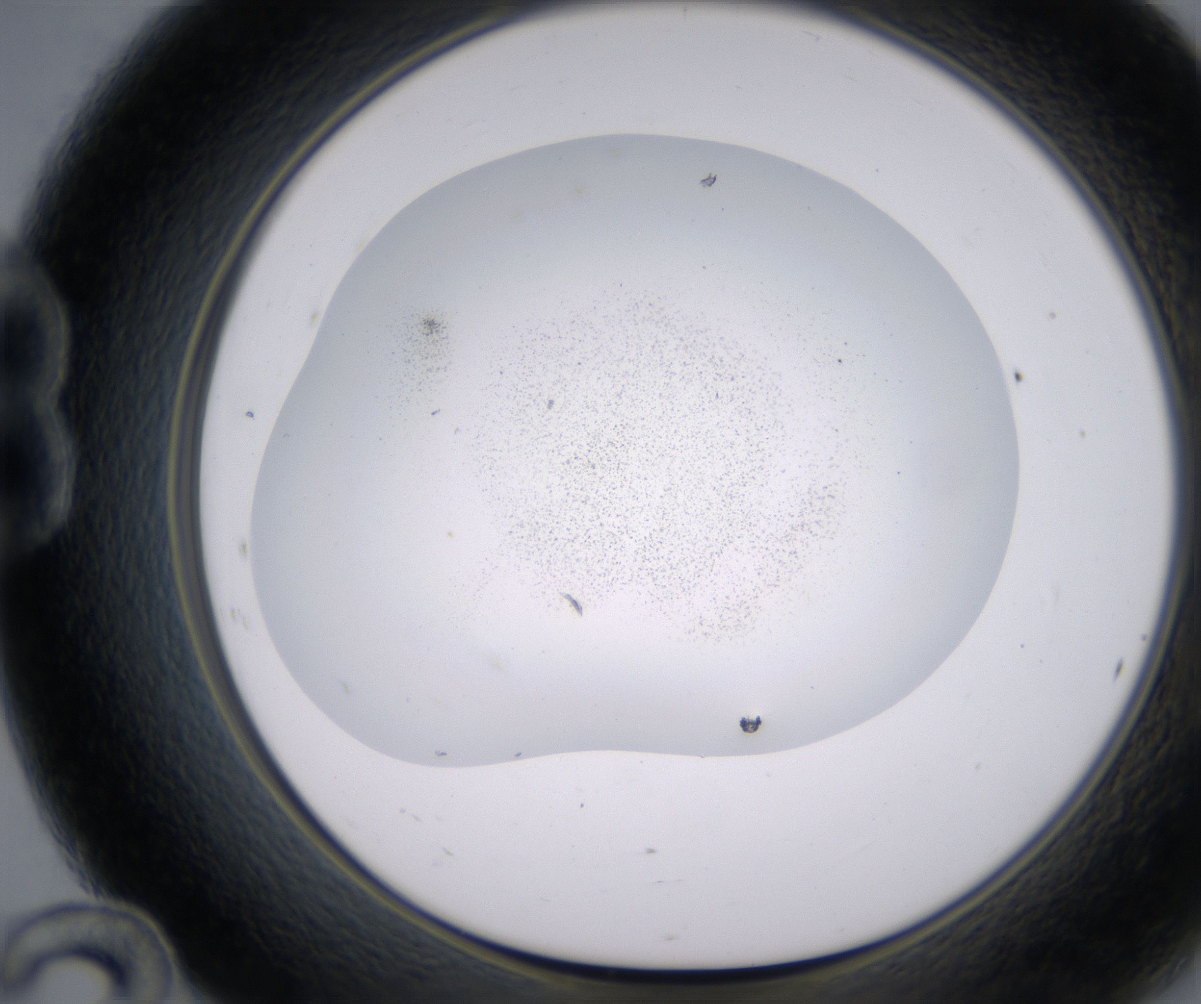 B12_HighResolution_Precipitate_1.jpg