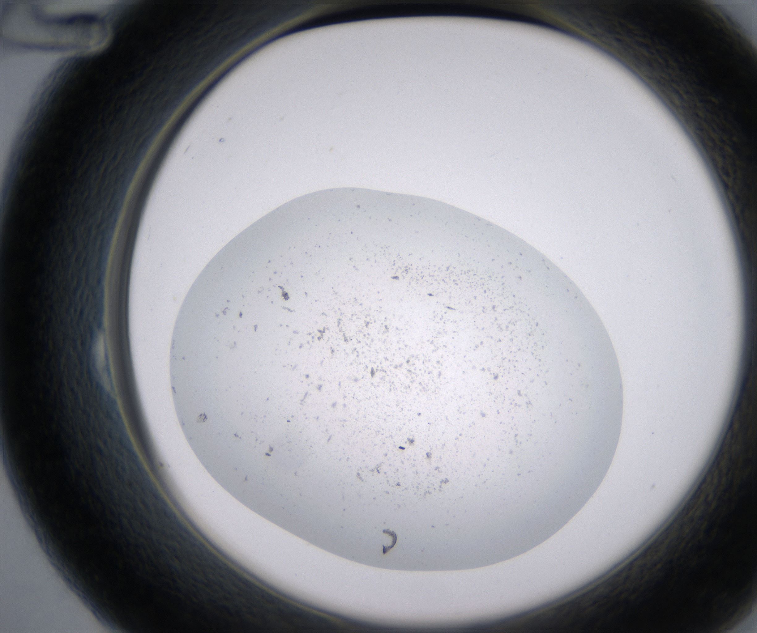 B12_HighResolution_Precipitate_2.jpg