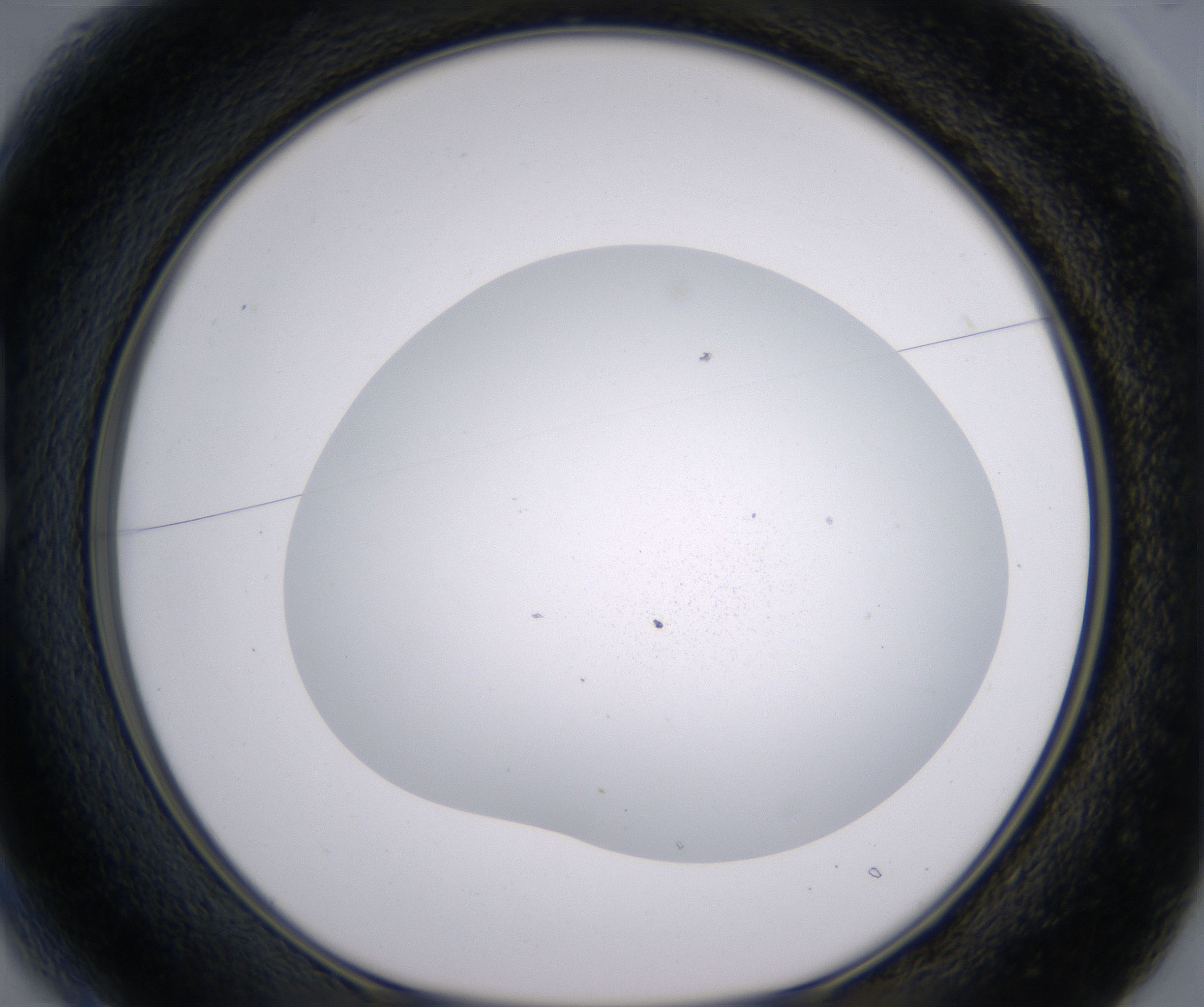 B1_HighResolution_Precipitate_1.jpg
