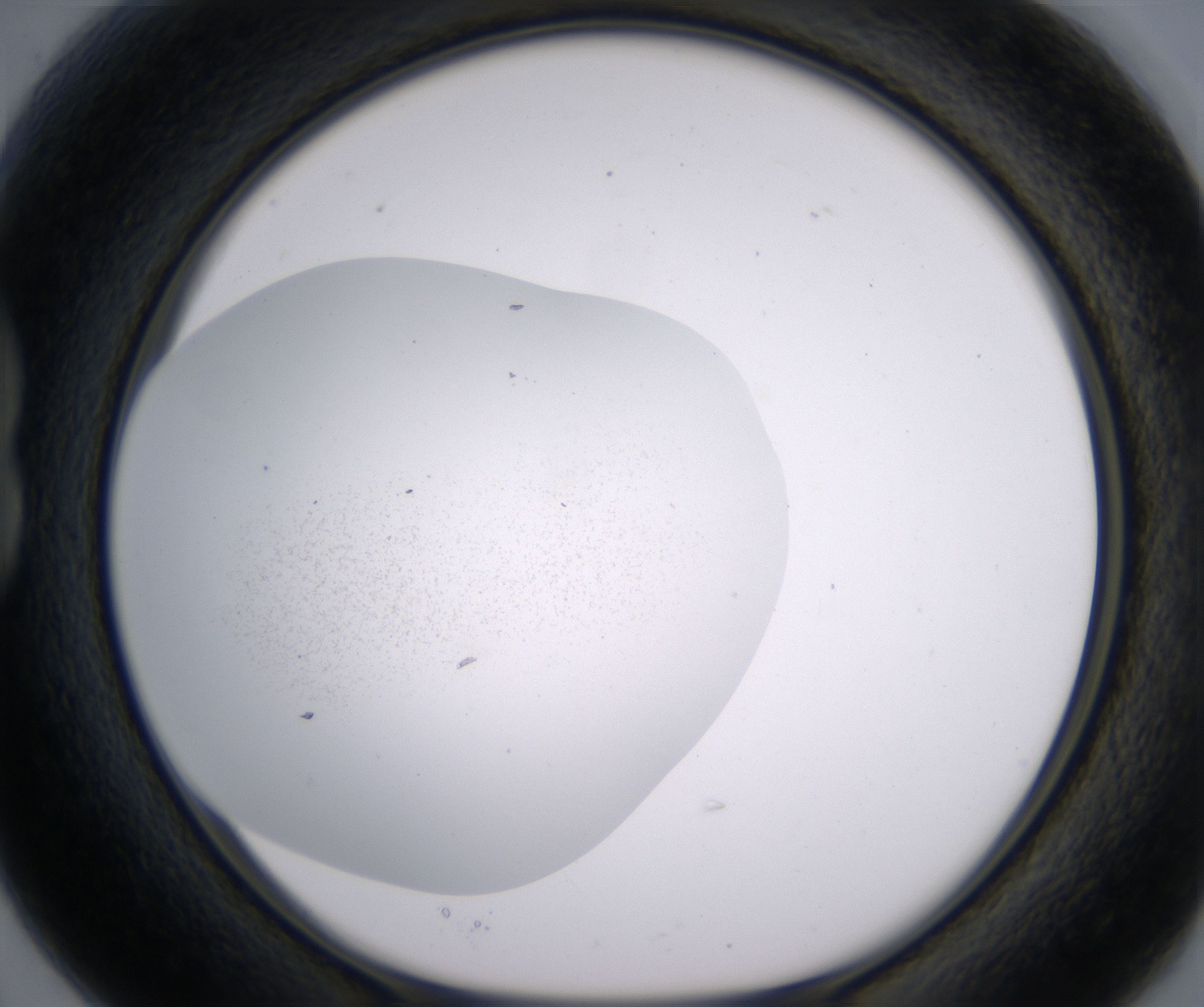 B3_HighResolution_Precipitate_1.jpg