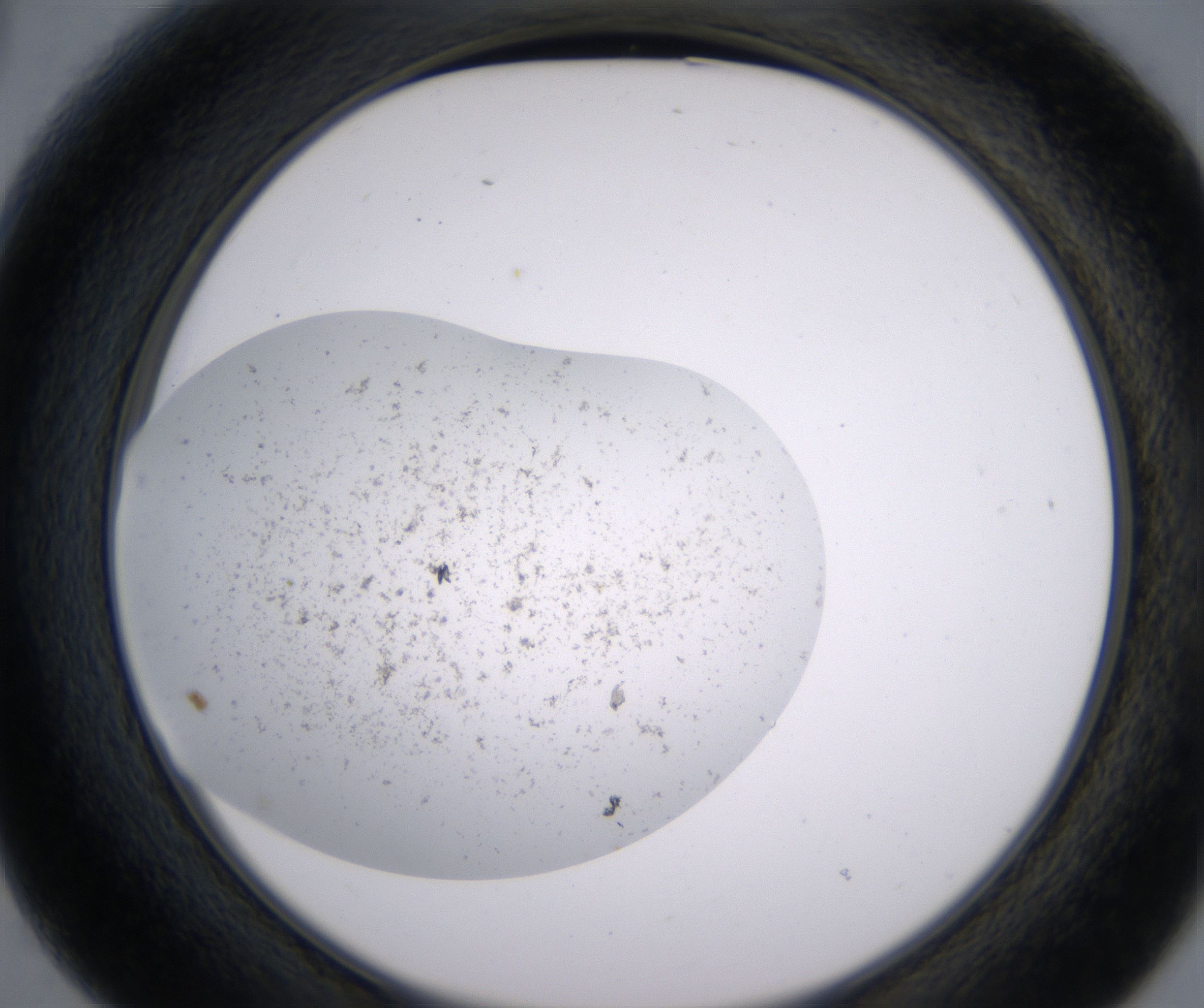 B3_HighResolution_Precipitate_2.jpg
