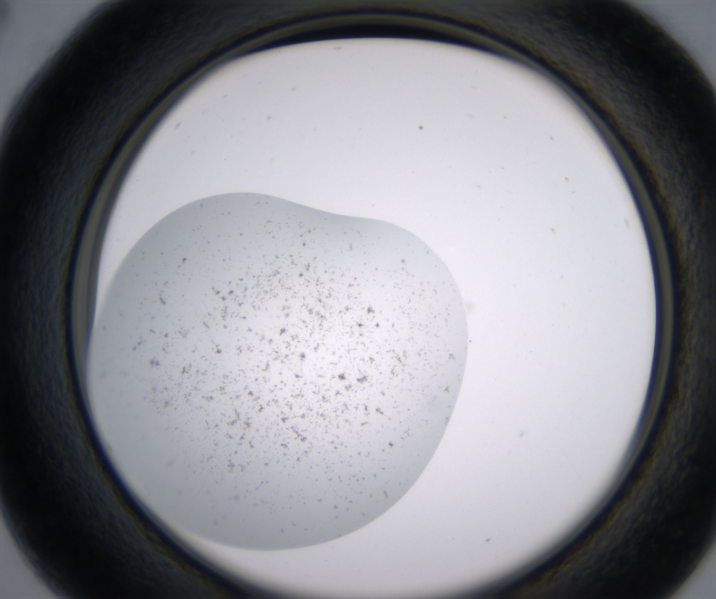 B4_HighResolution_Precipitate_2.jpg