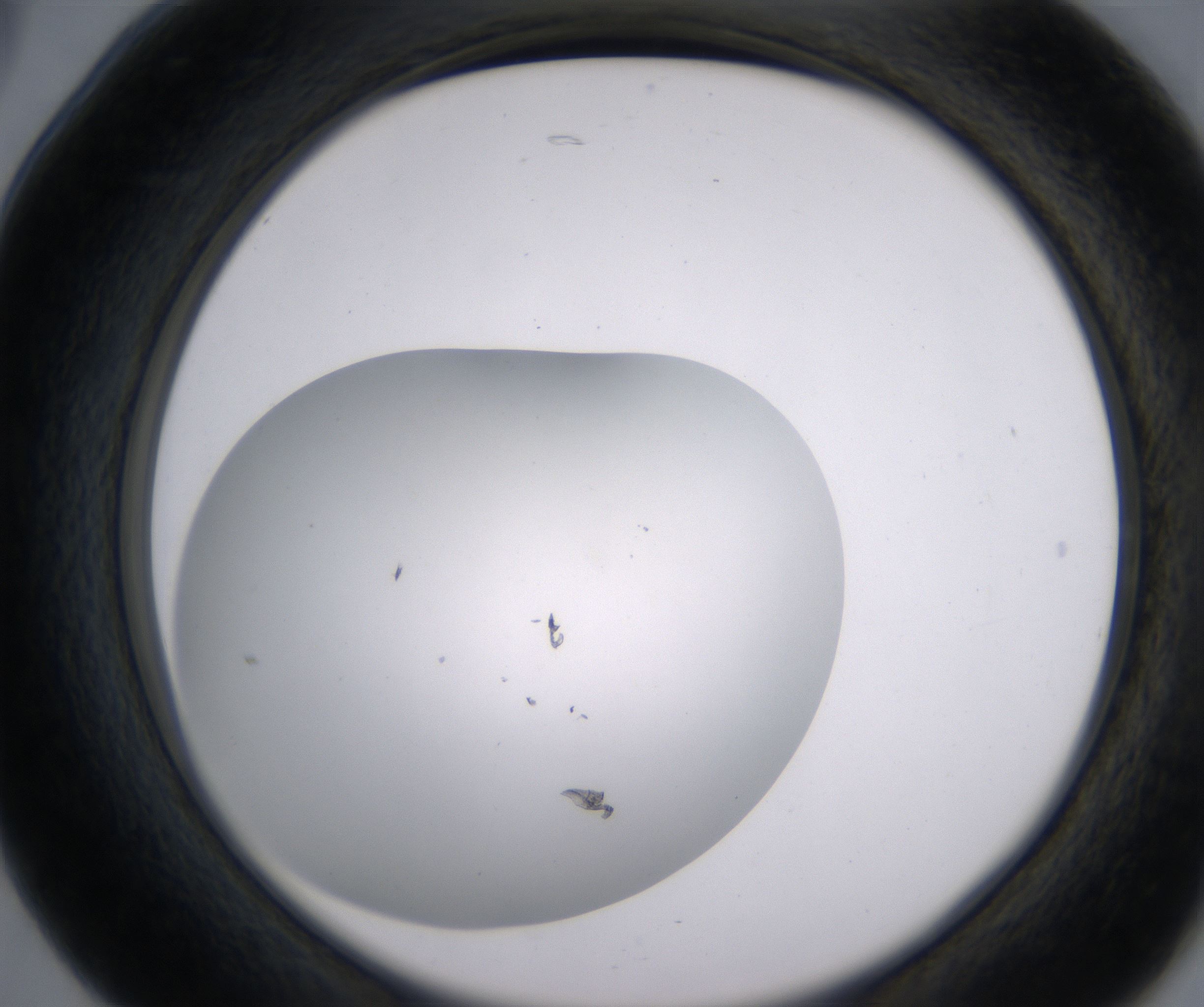 B5_HighResolution_Clear_2.jpg