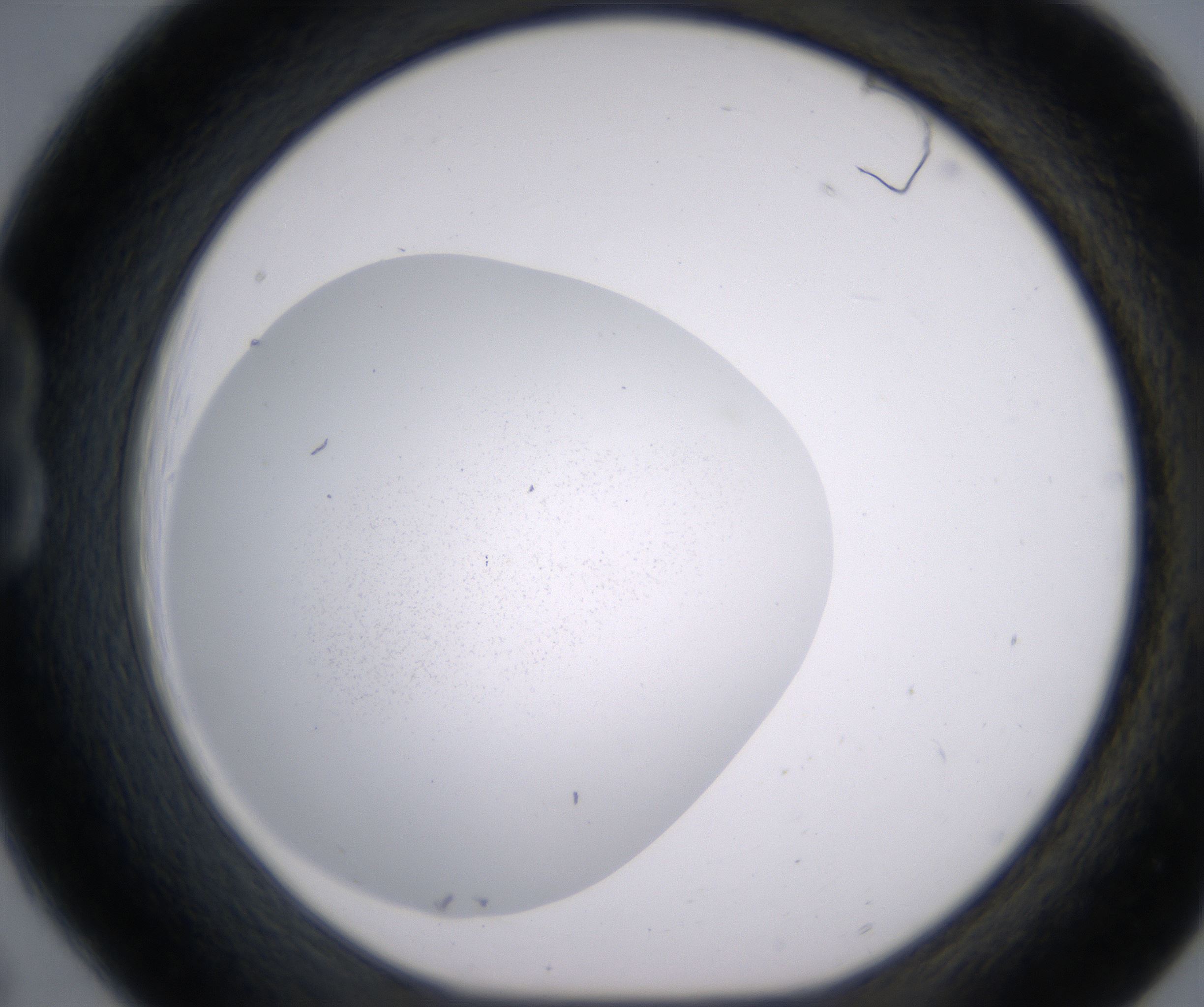 B6_HighResolution_Precipitate_1.jpg