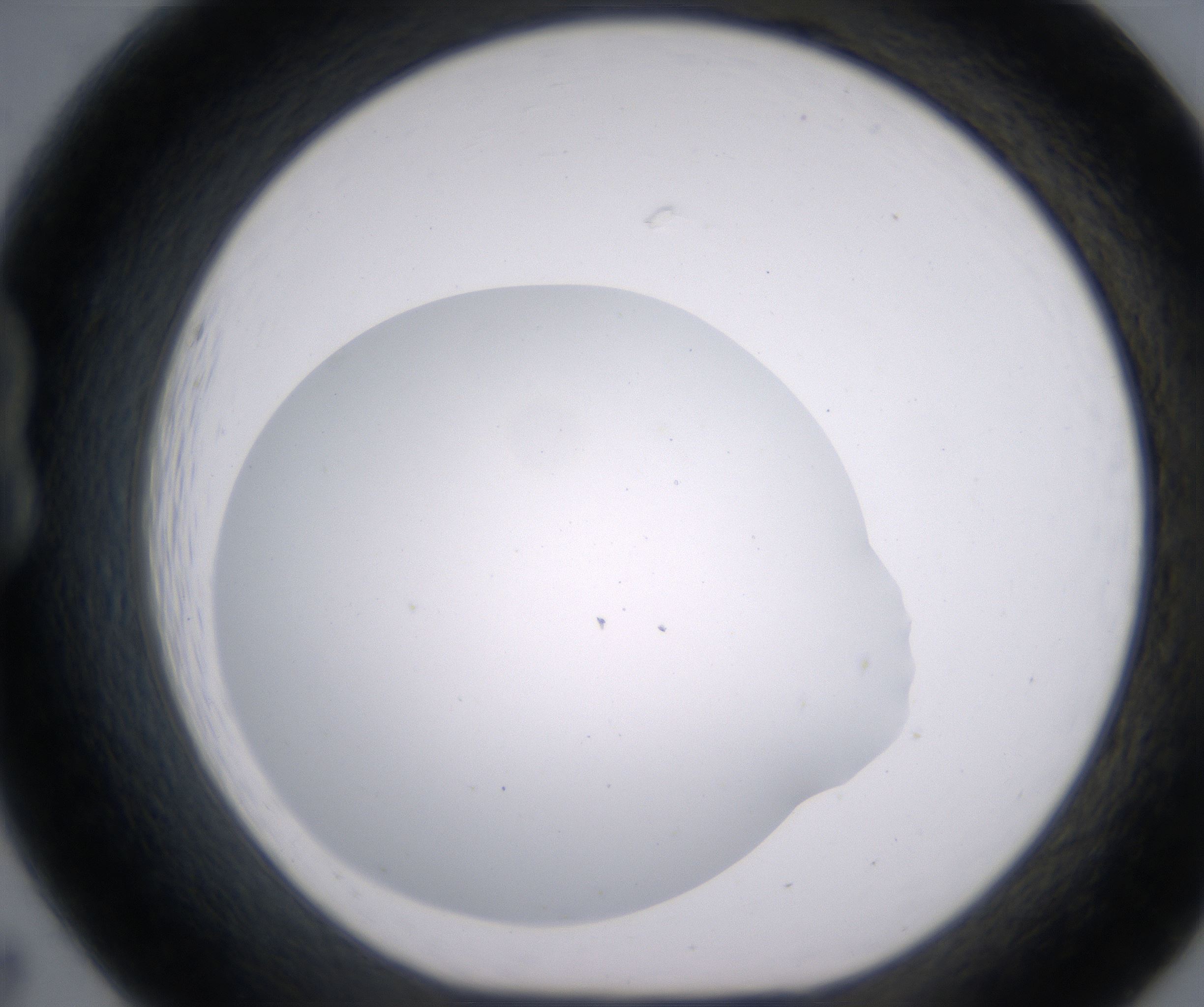 B7_HighResolution_Clear_1.jpg