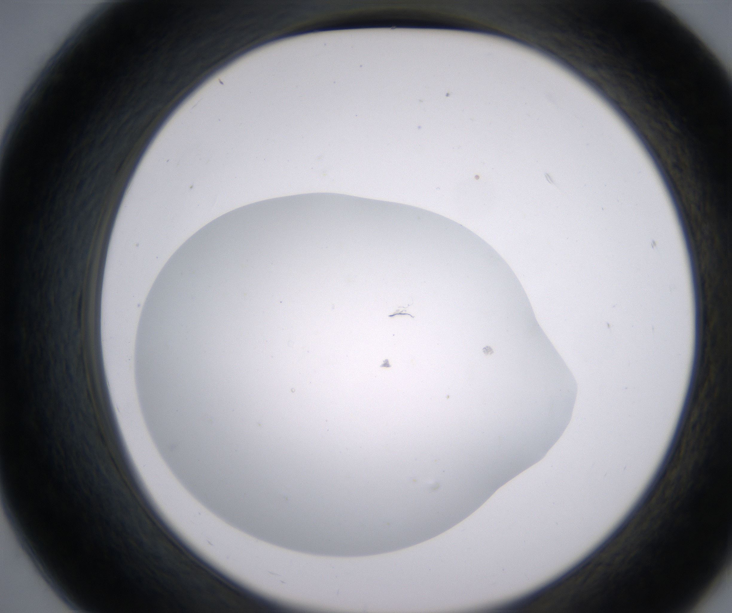 B7_HighResolution_Clear_2.jpg