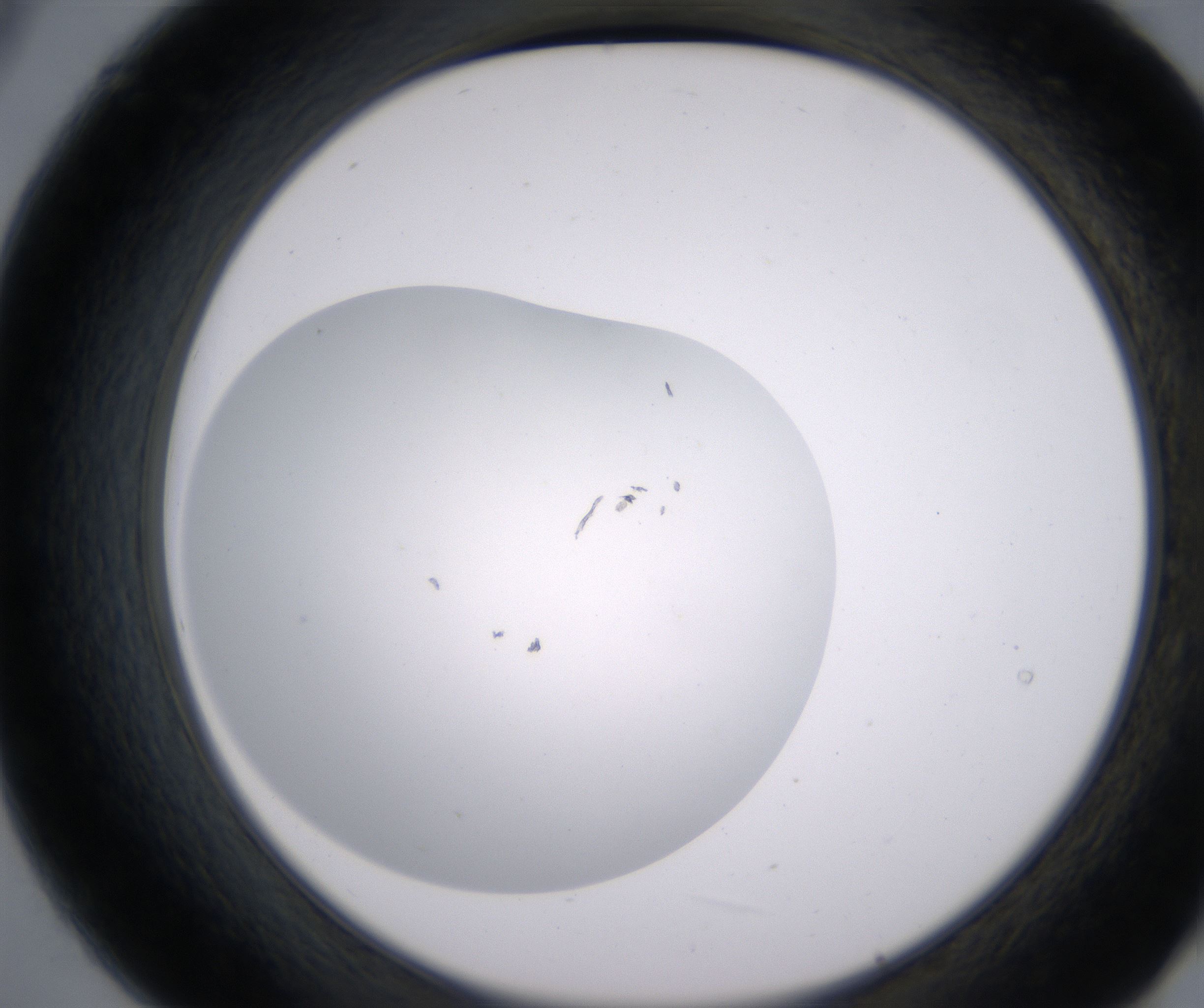 B9_HighResolution_Clear_2.jpg