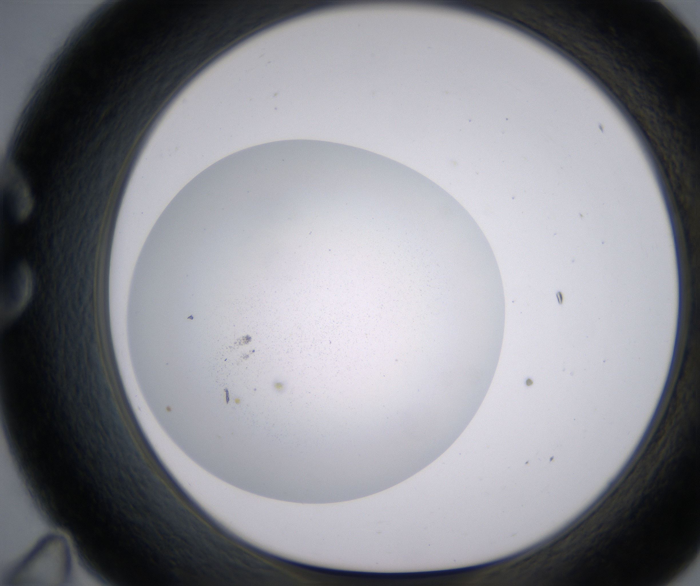 C11_HighResolution_Precipitate_1.jpg