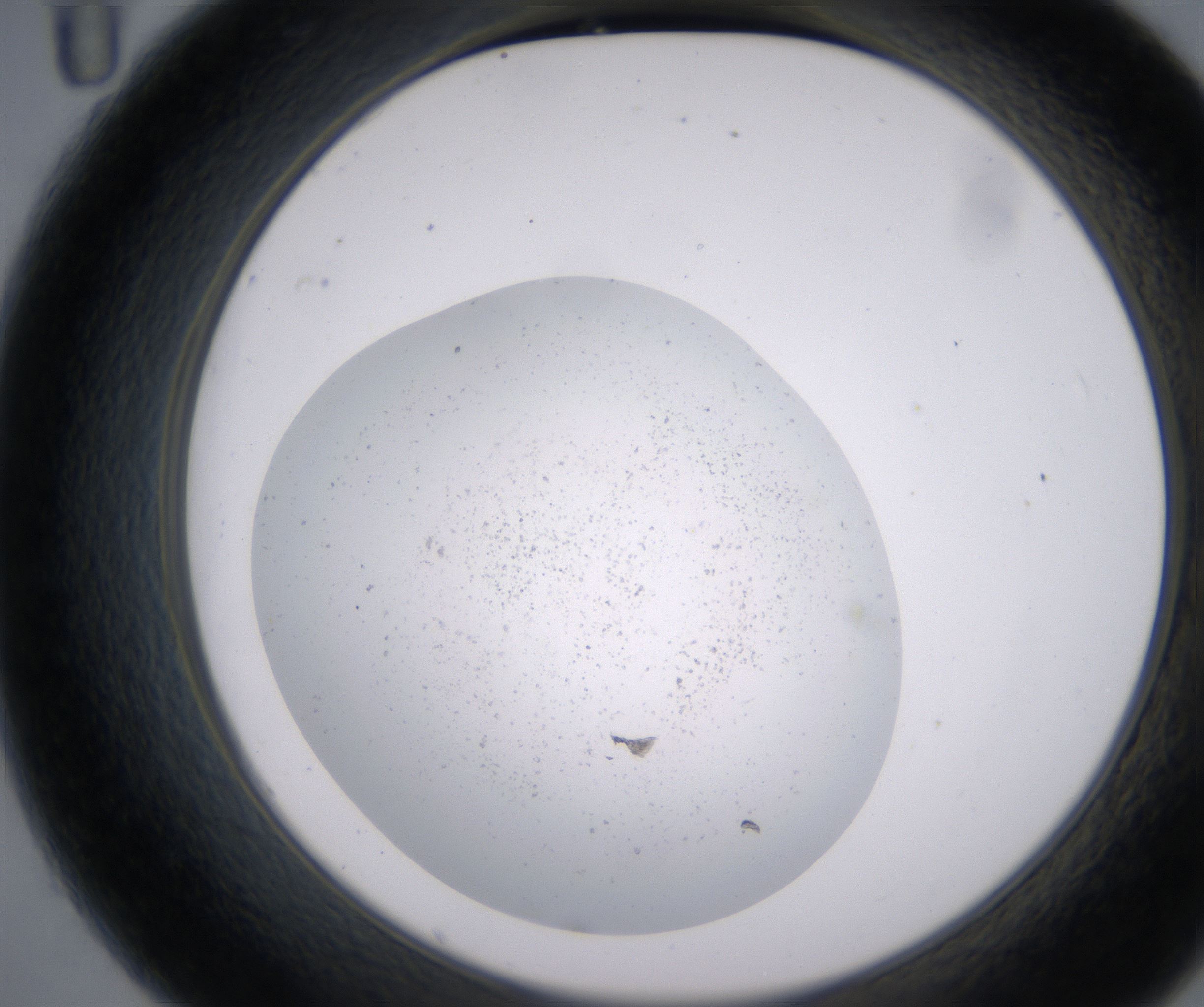 C11_HighResolution_Precipitate_2.jpg