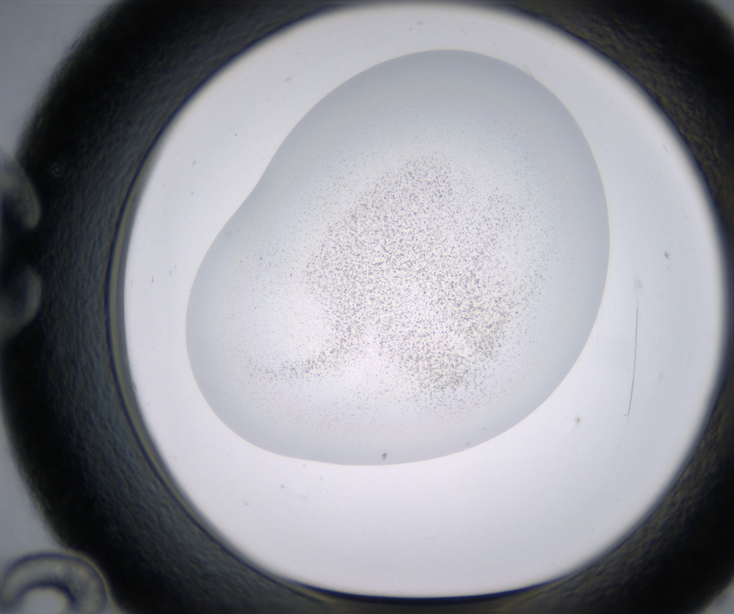 C12_HighResolution_Precipitate_1.jpg