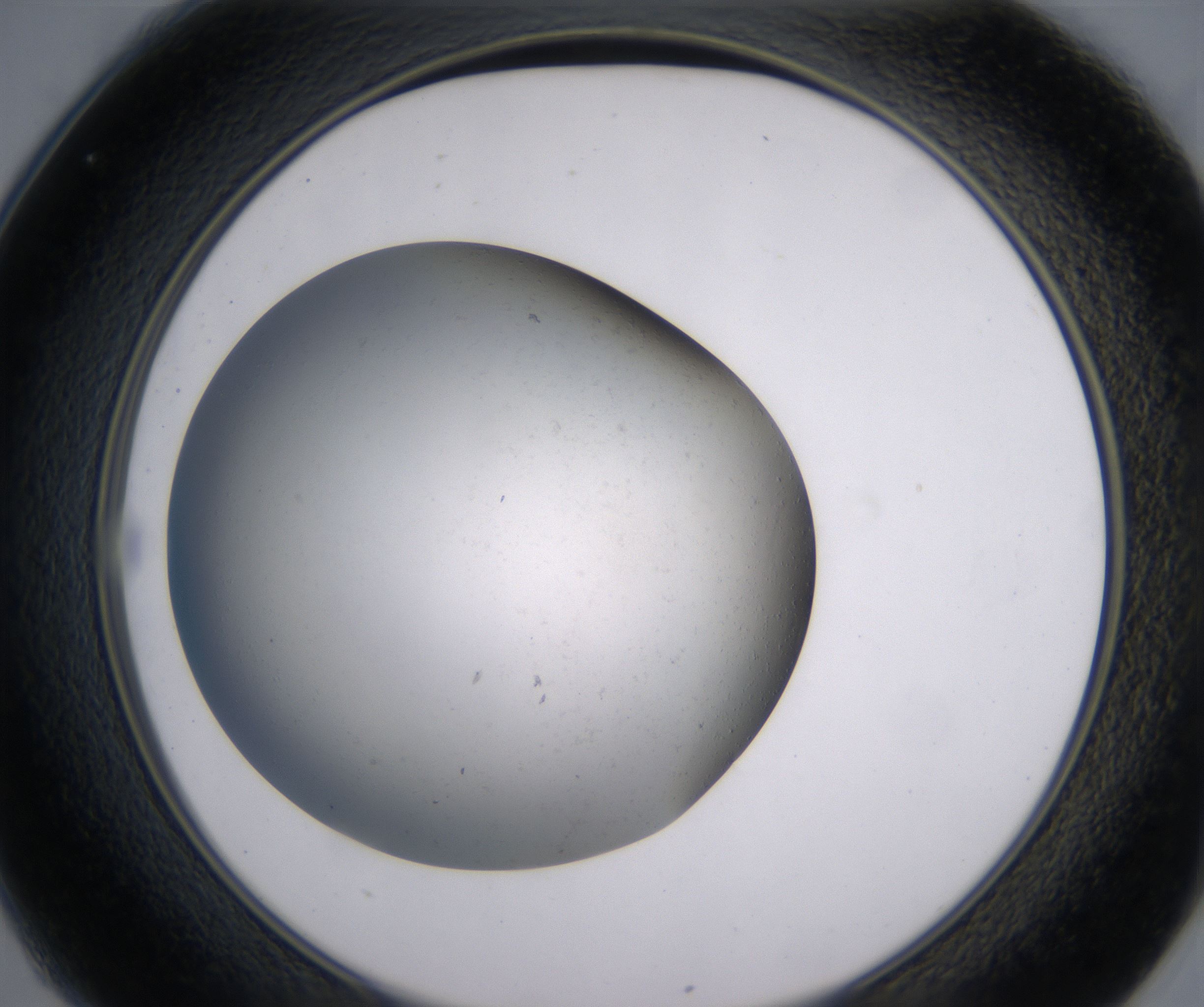 C1_HighResolution_Precipitate_2.jpg