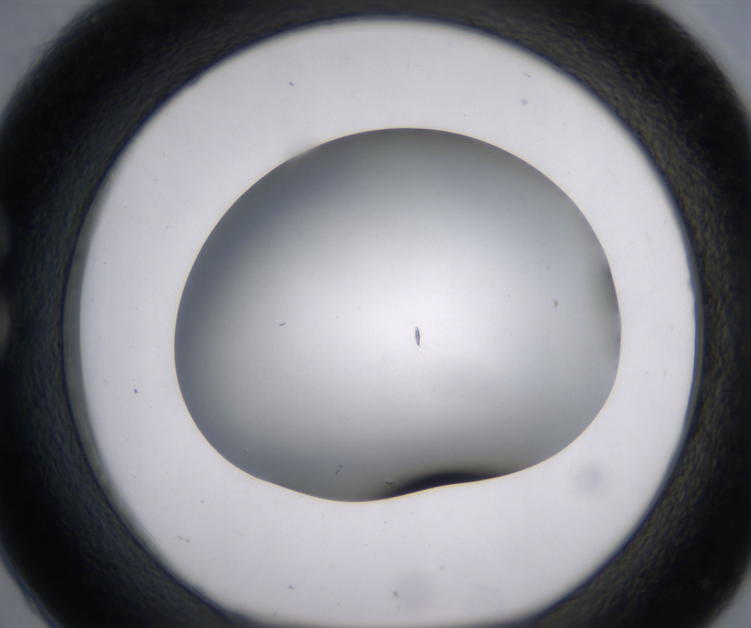 C2_HighResolution_Clear_1.jpg