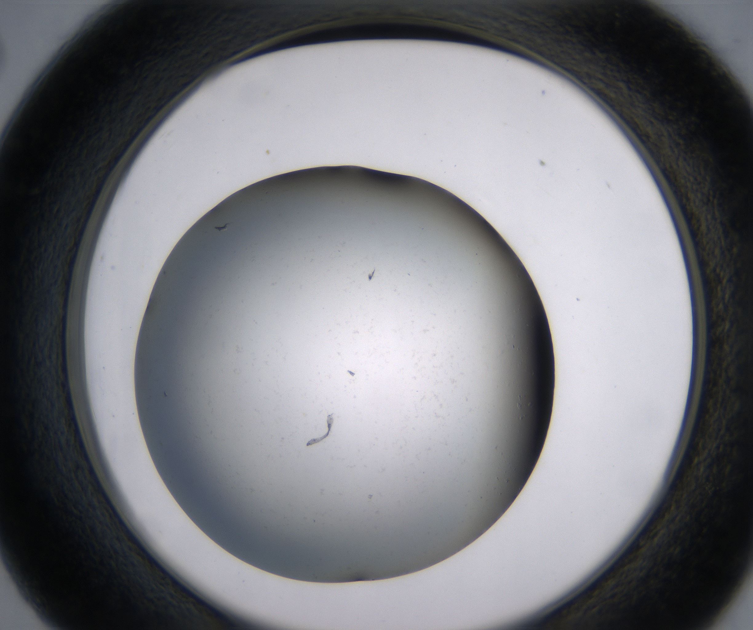 C2_HighResolution_Precipitate_2.jpg