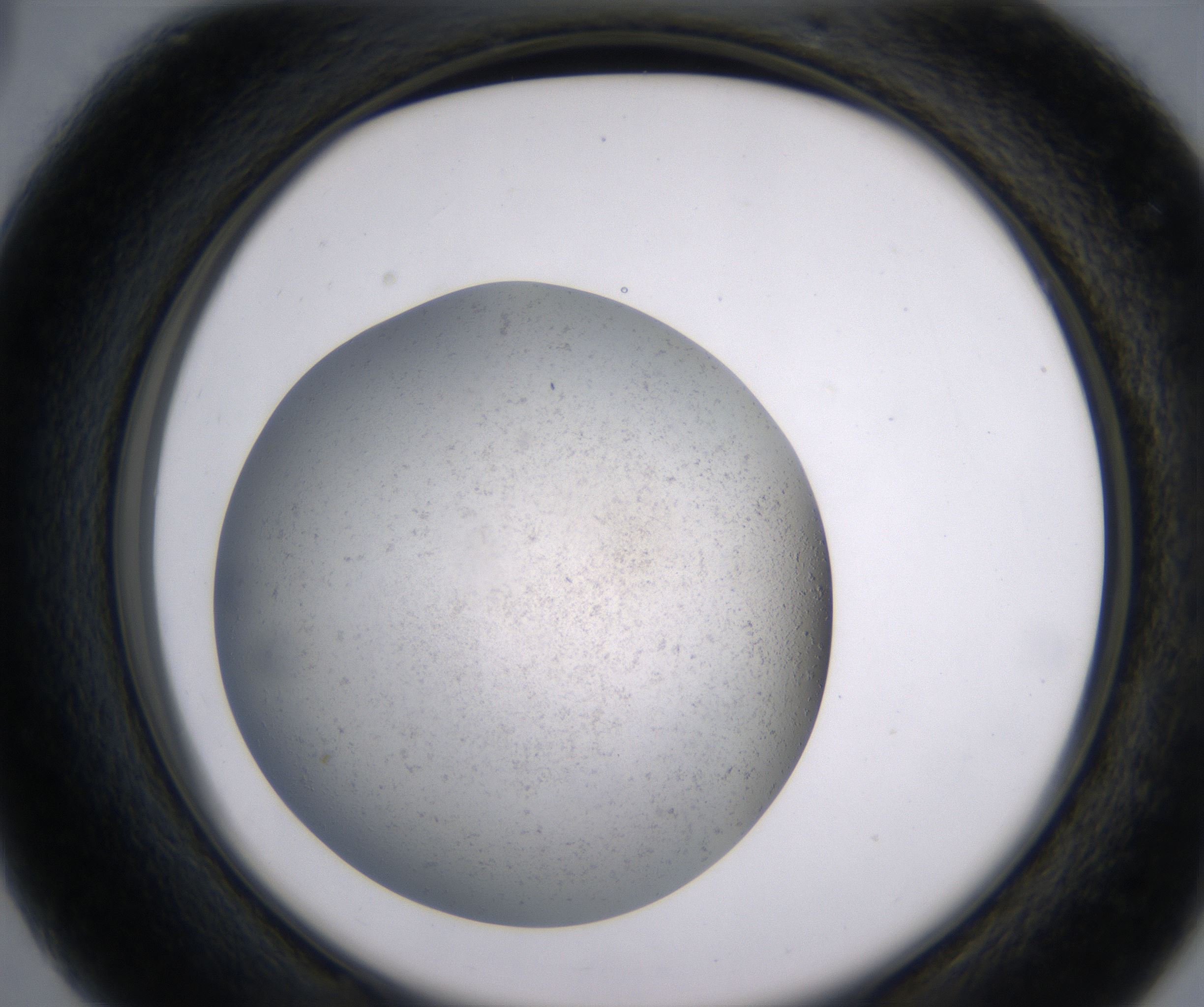 C3_HighResolution_Precipitate_2.jpg