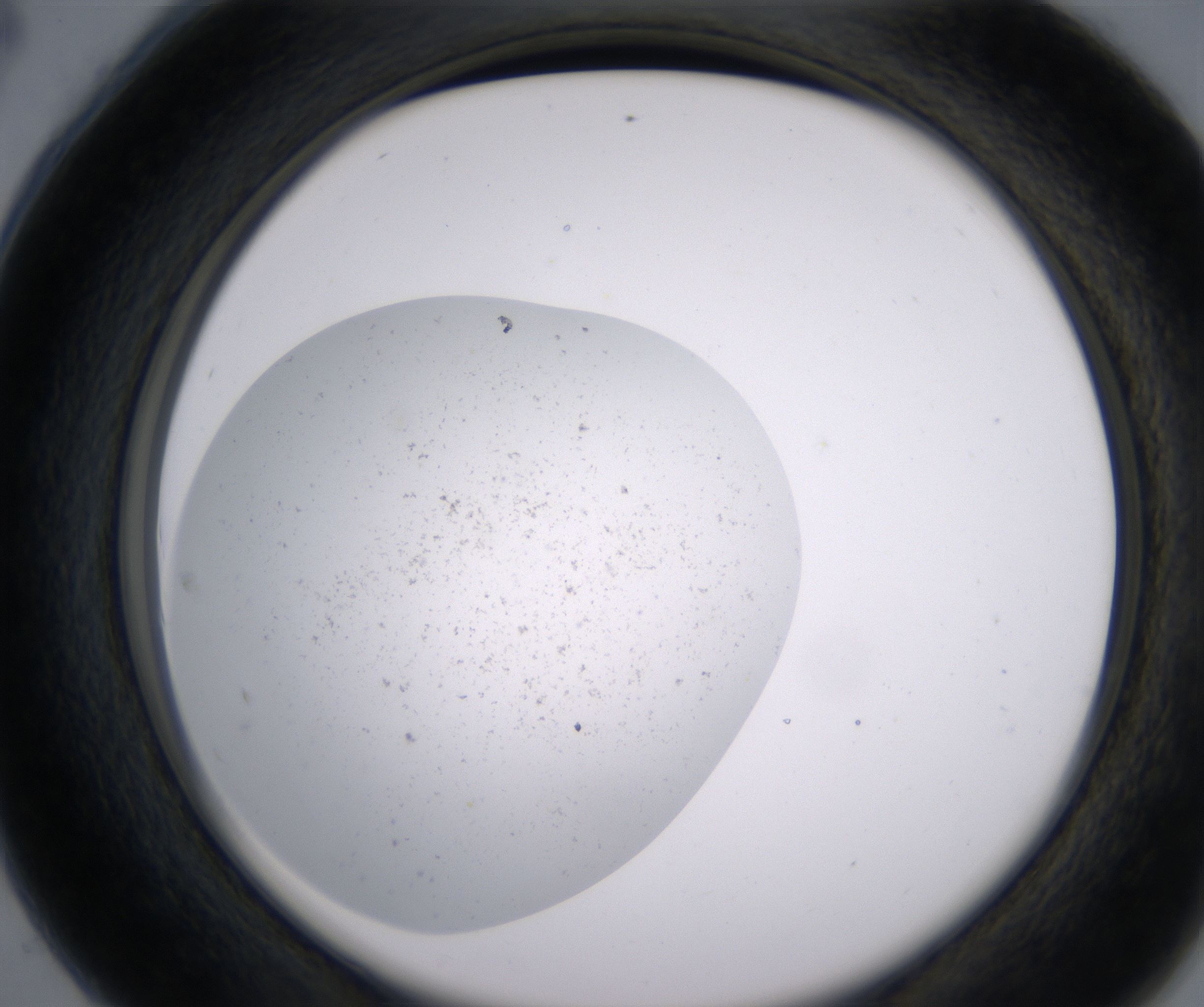 C4_HighResolution_Precipitate_2.jpg