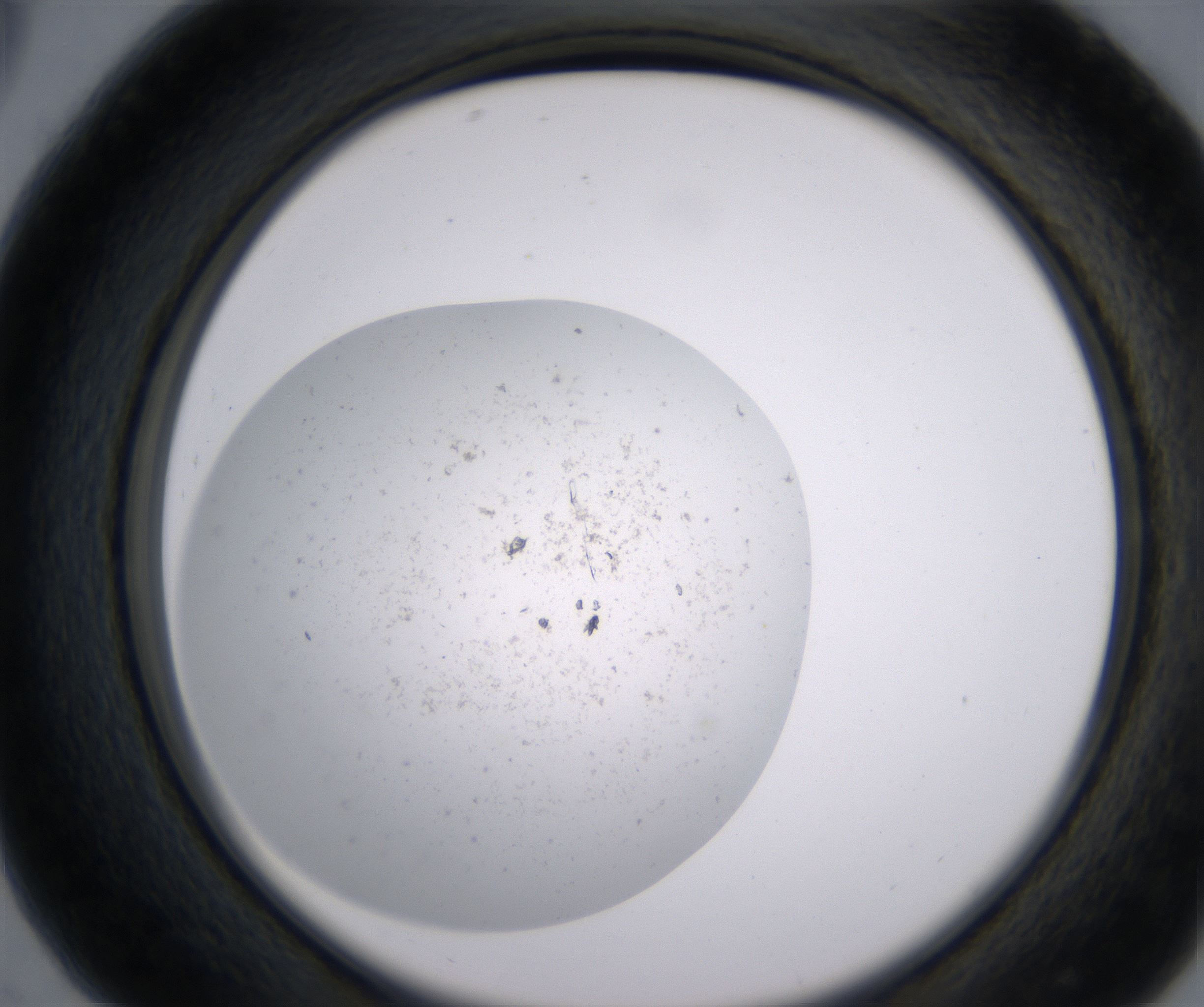 C5_HighResolution_Precipitate_2.jpg