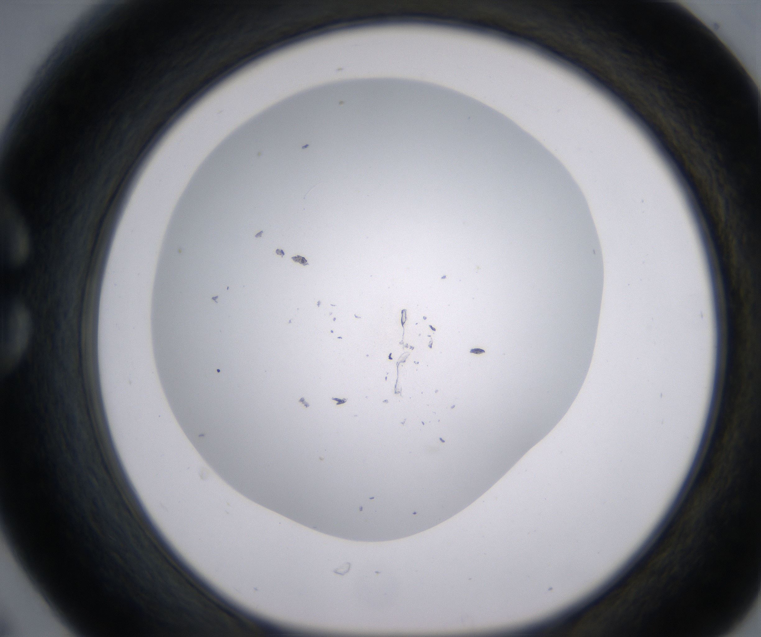 C6_HighResolution_Clear_1.jpg