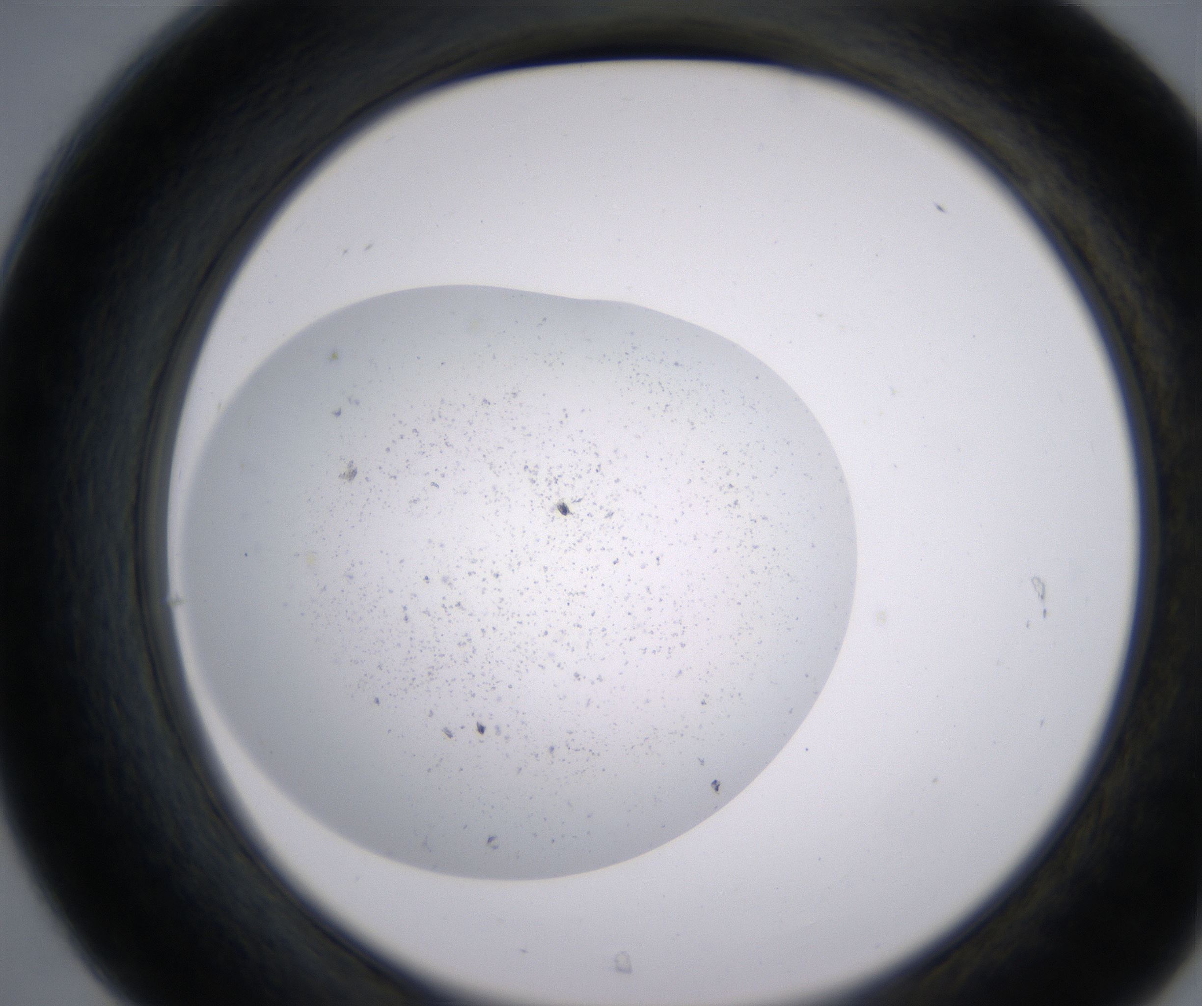 C7_HighResolution_Precipitate_2.jpg
