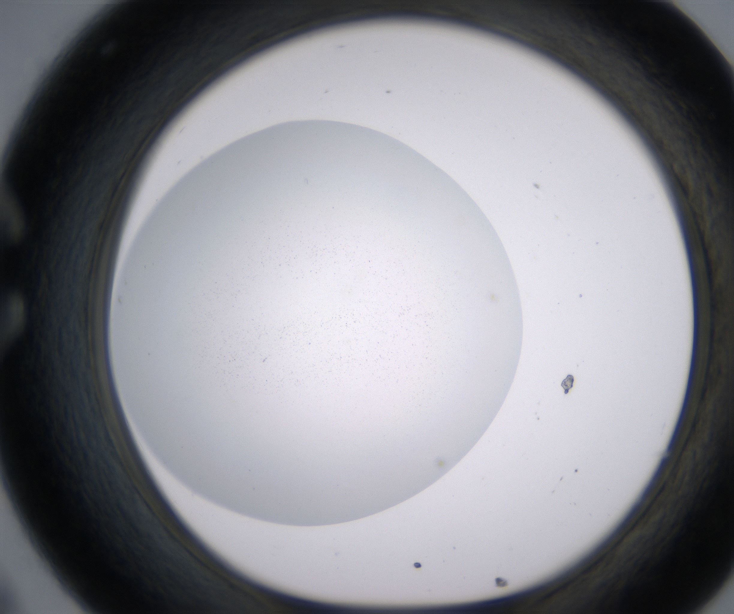 C8_HighResolution_Precipitate_1.jpg