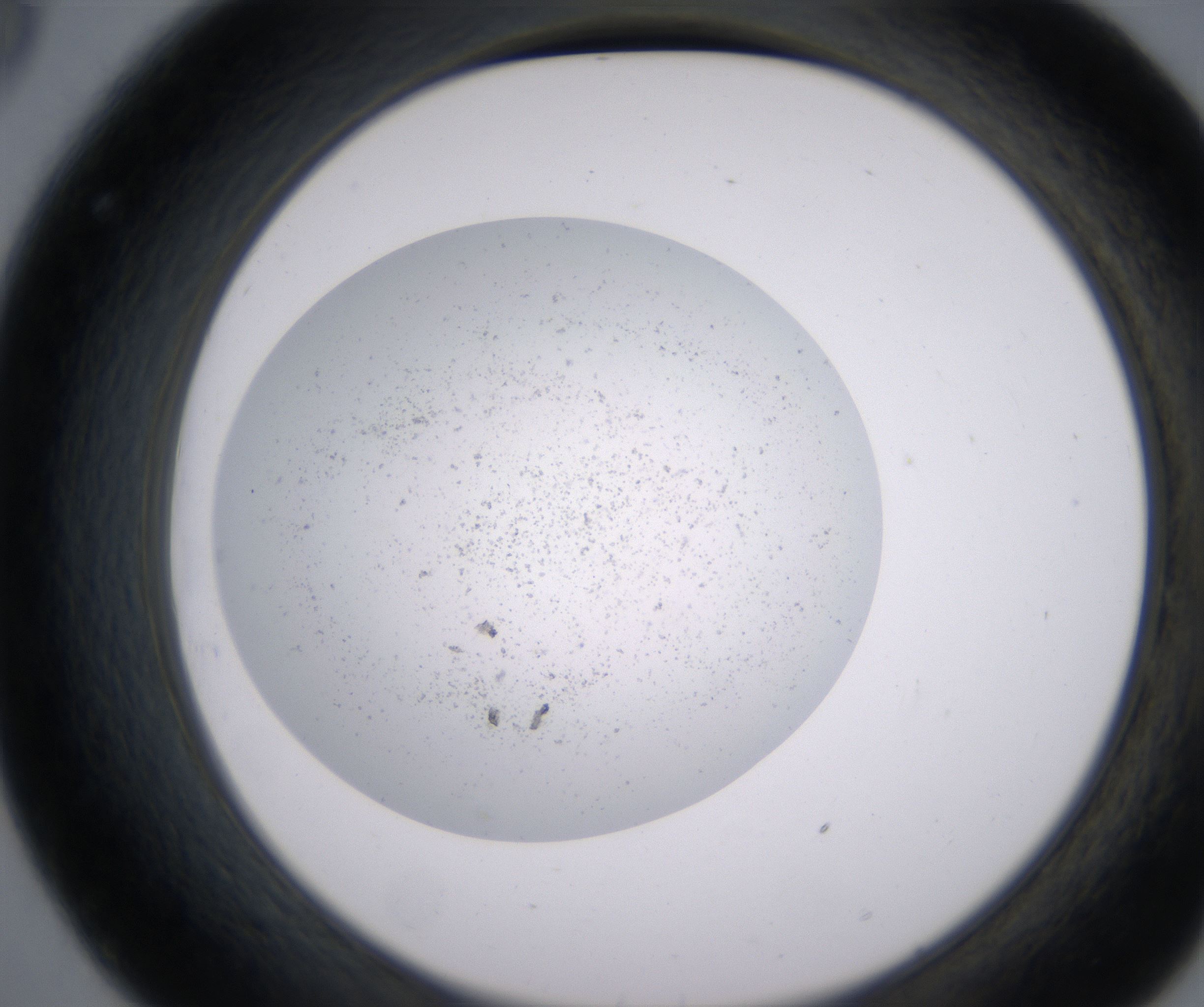 C8_HighResolution_Precipitate_2.jpg