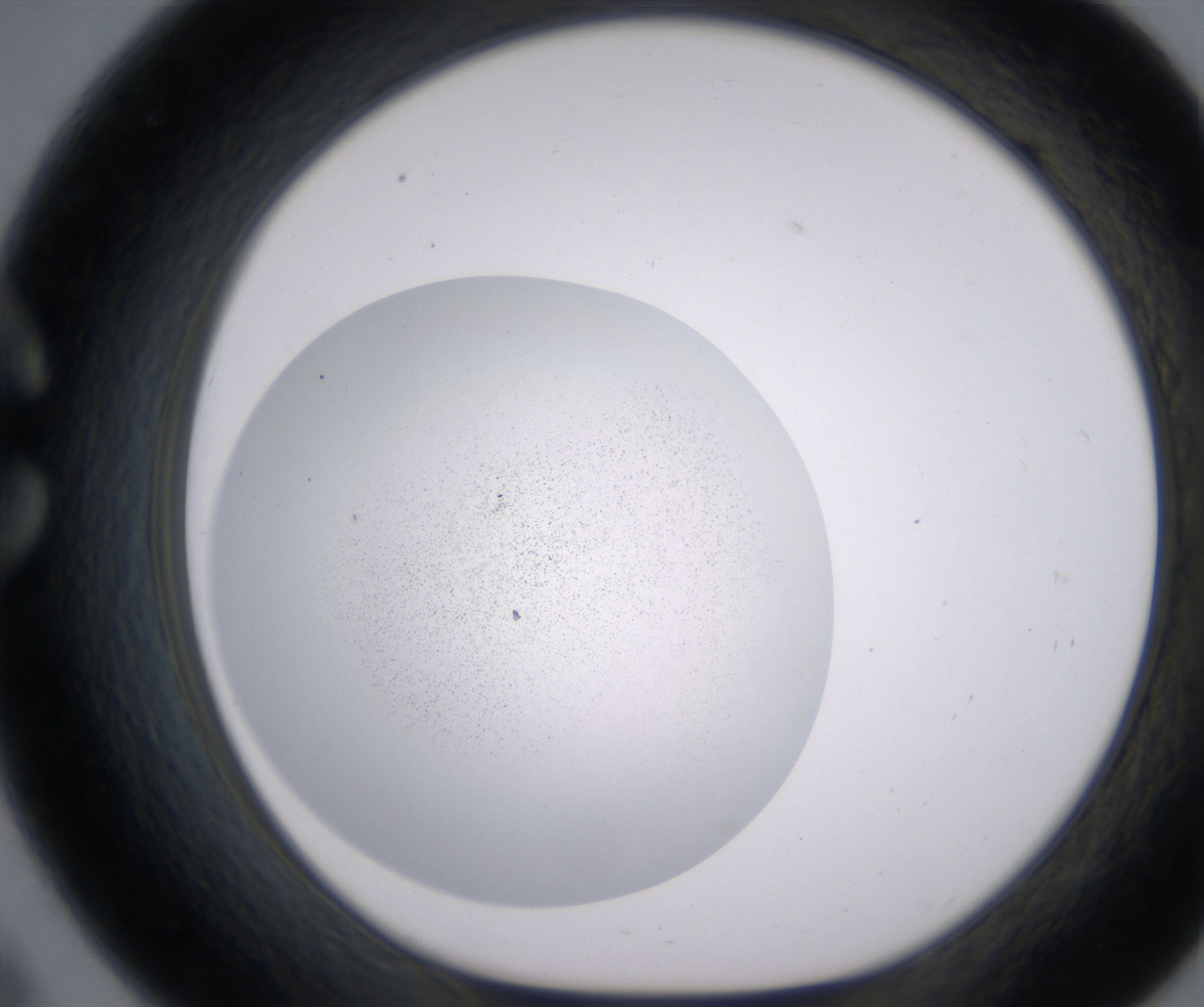 C9_HighResolution_Precipitate_1.jpg
