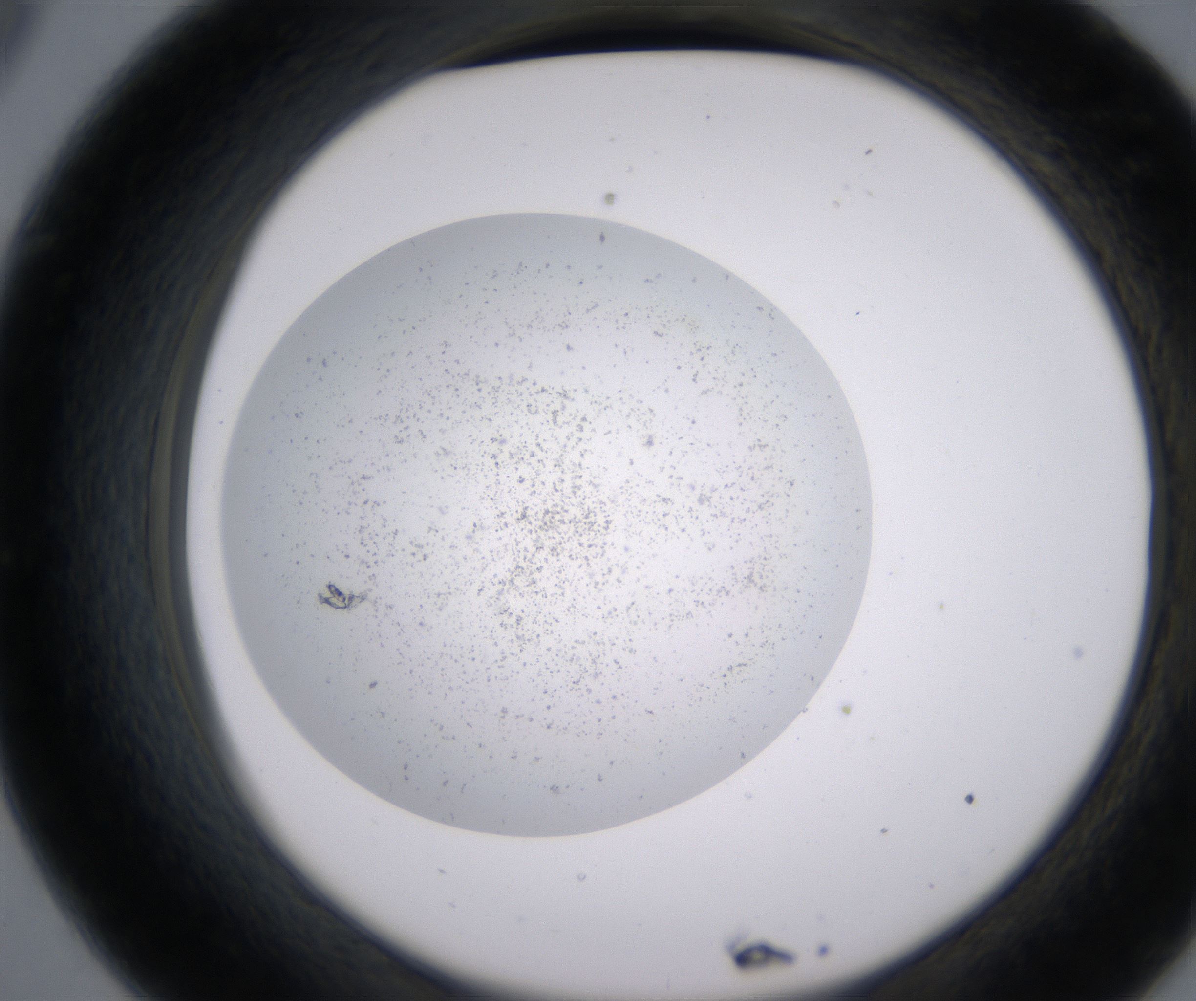C9_HighResolution_Precipitate_2.jpg