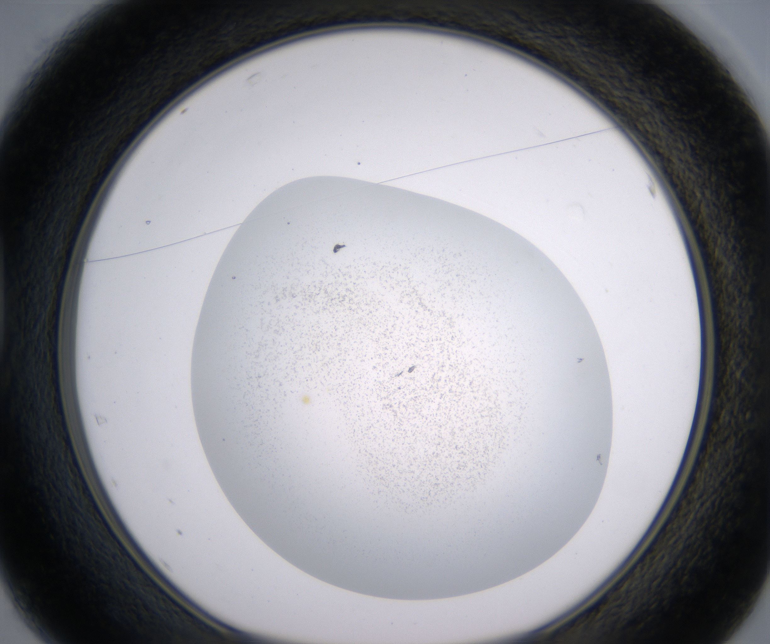 D1_HighResolution_Precipitate_1.jpg