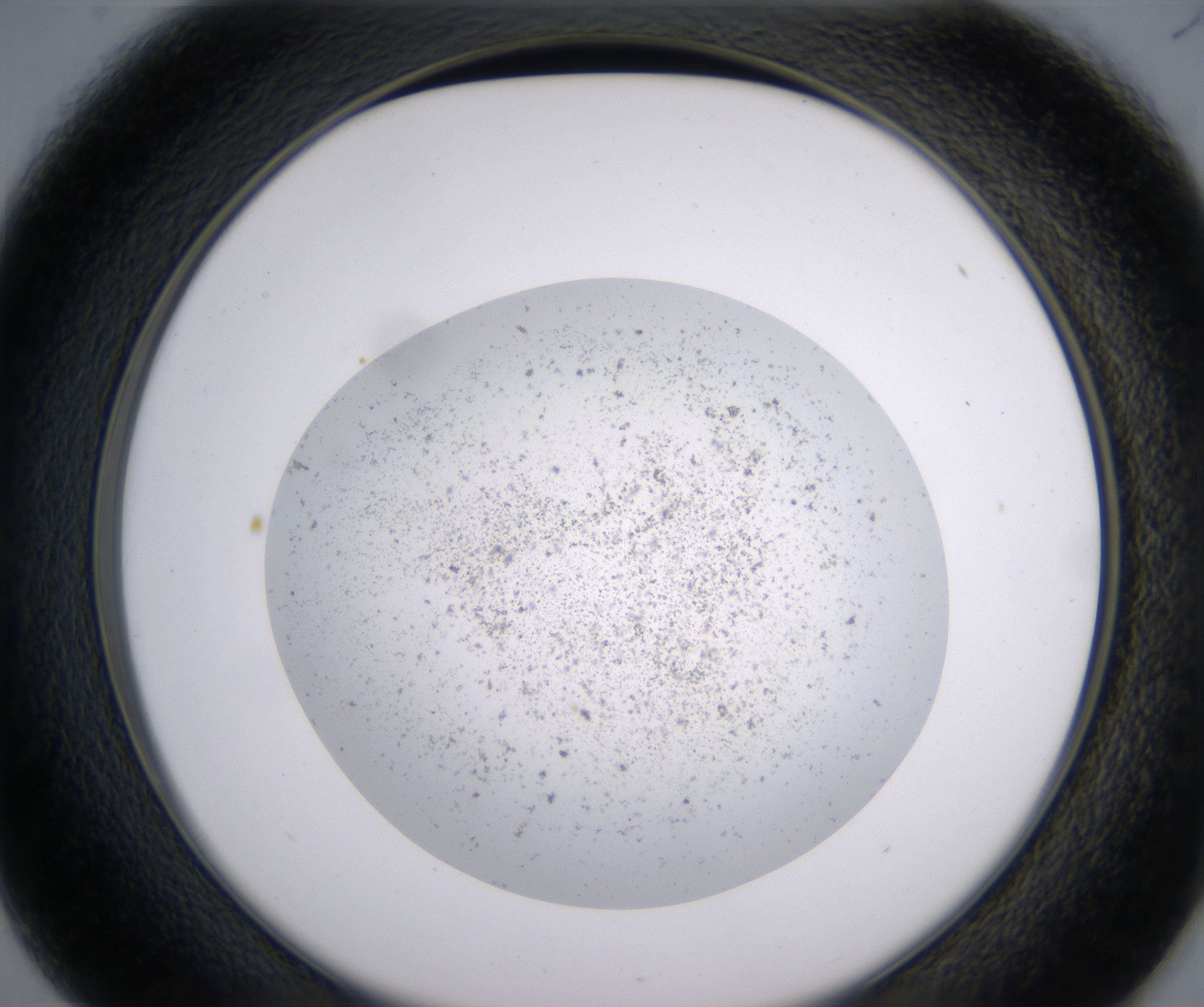 D1_HighResolution_Precipitate_2.jpg