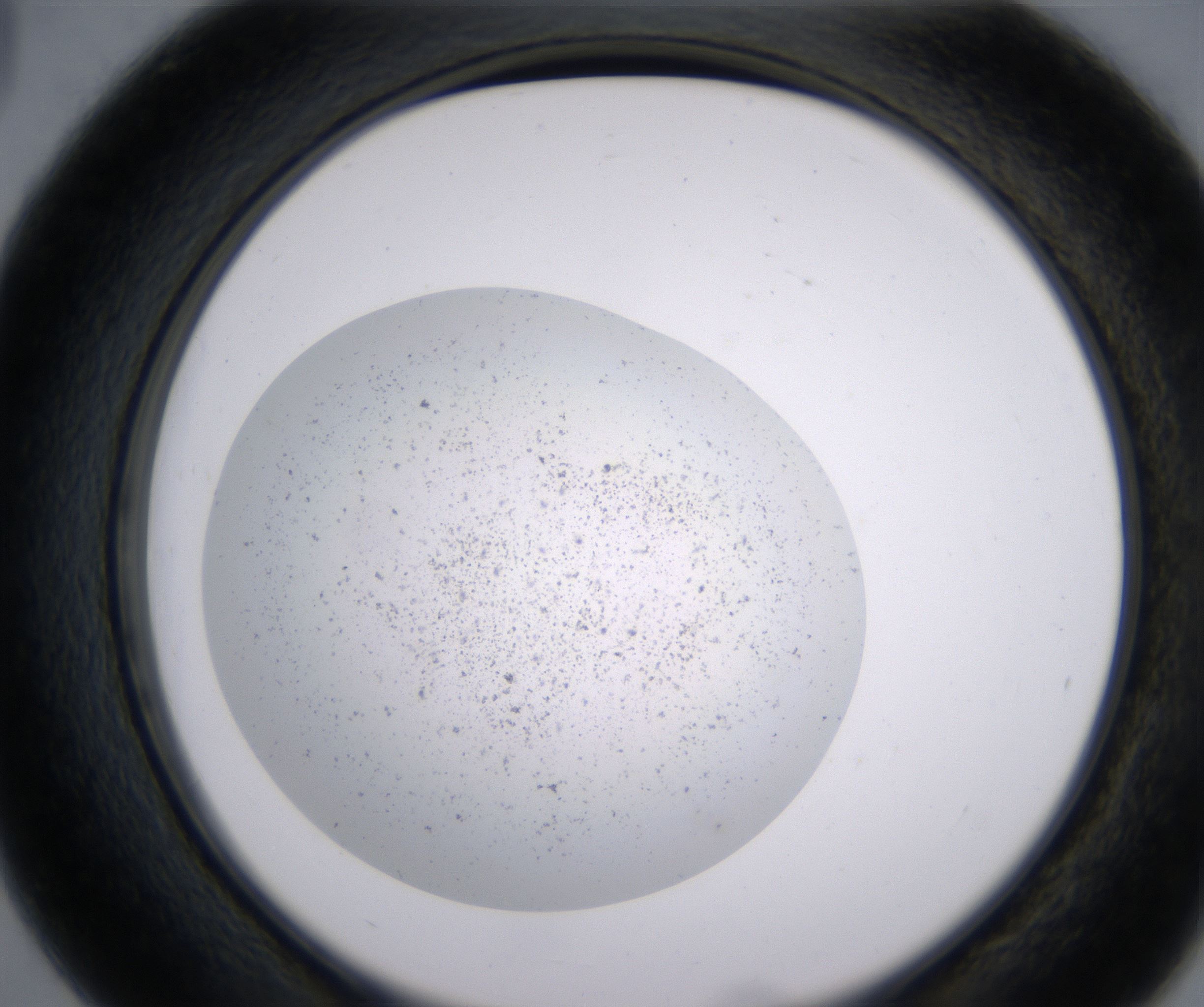 D3_HighResolution_Precipitate_2.jpg