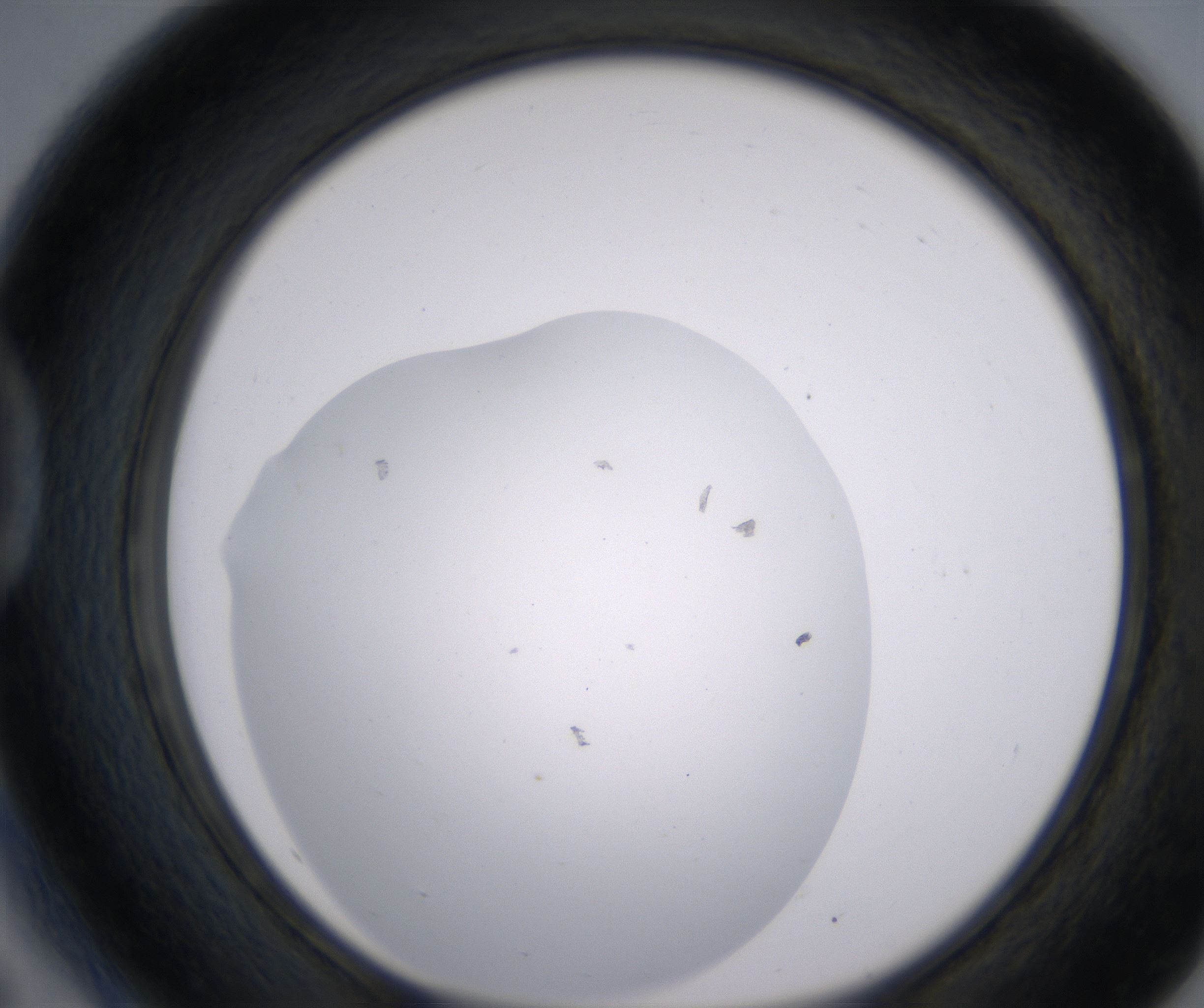 D5_HighResolution_Clear_1.jpg