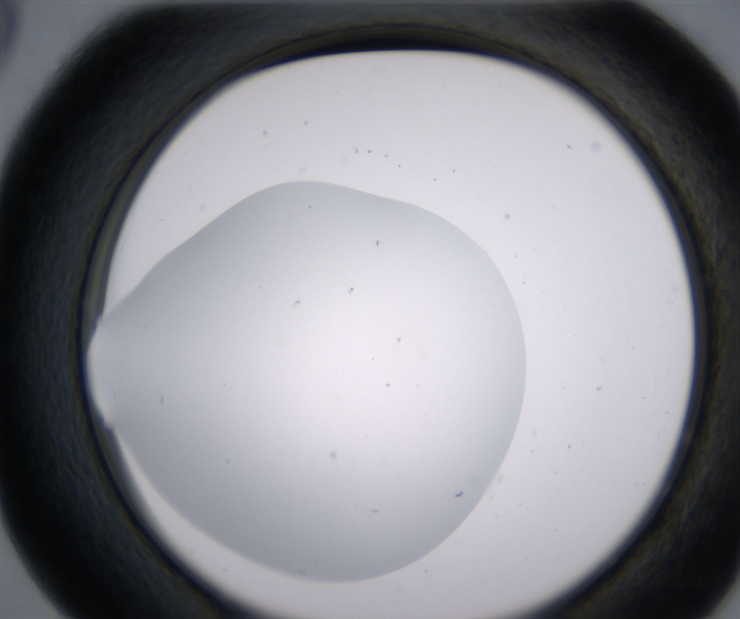 D5_HighResolution_Clear_2.jpg