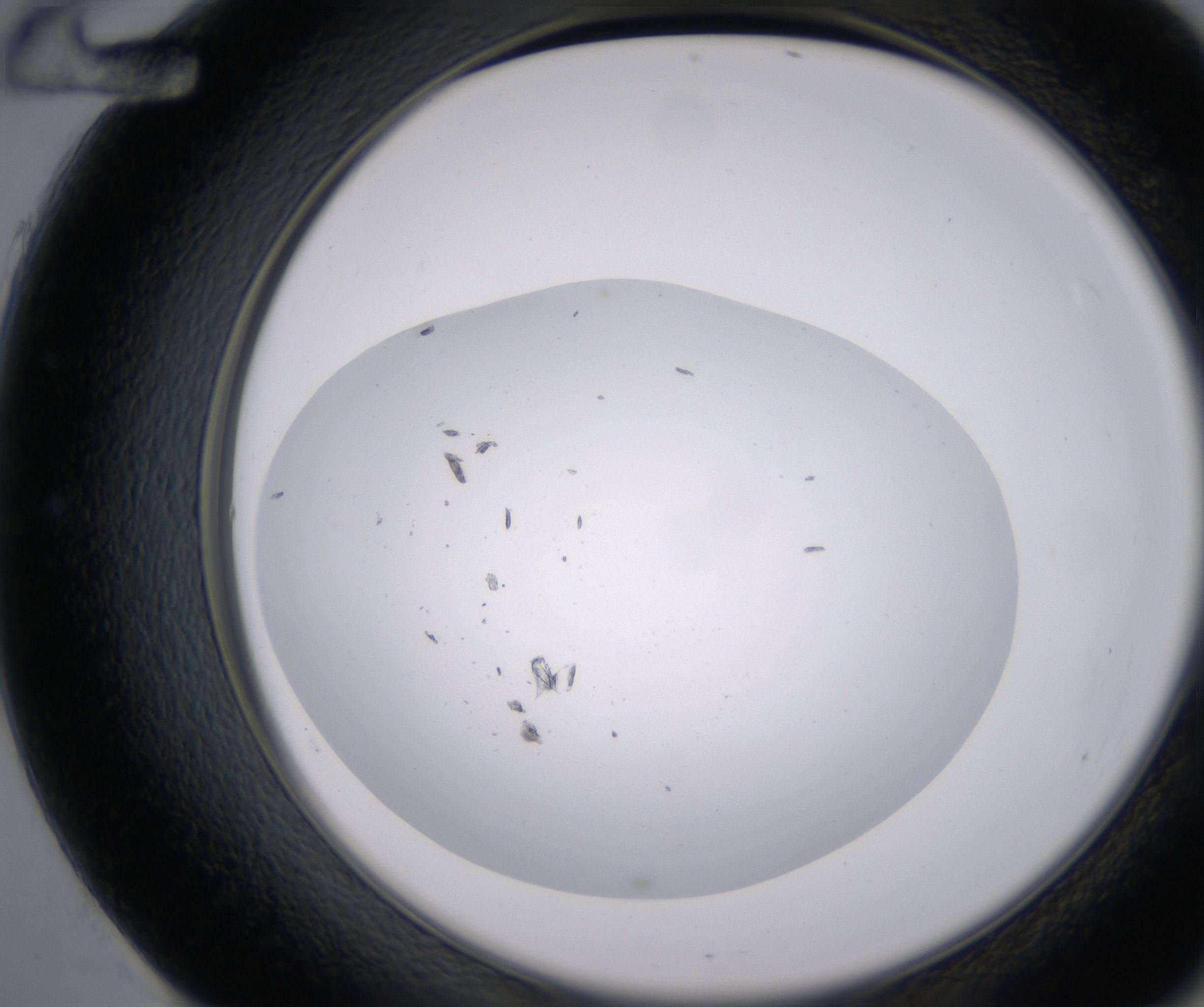 E12_HighResolution_Clear_2.jpg
