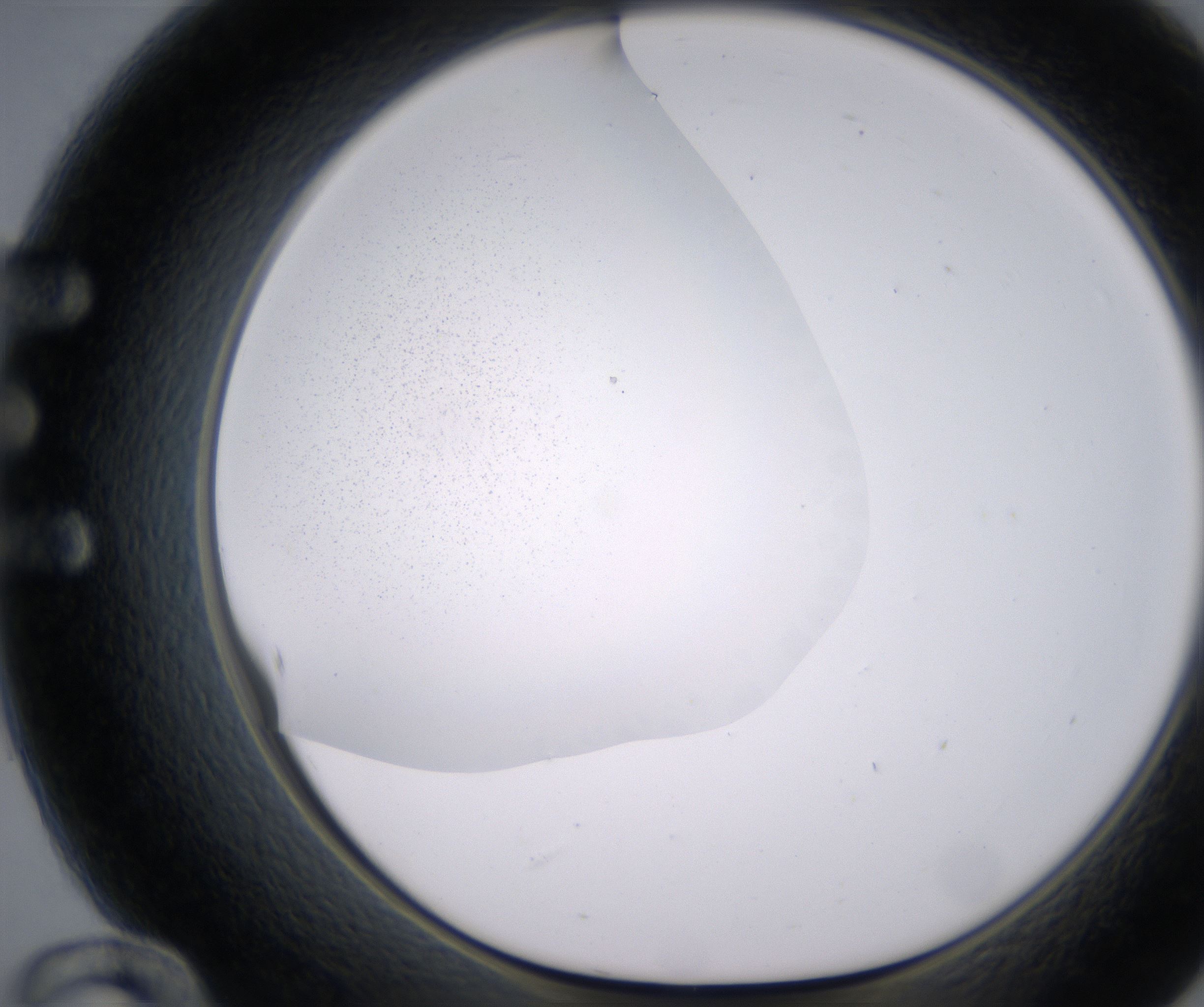 E12_HighResolution_Precipitate_1.jpg