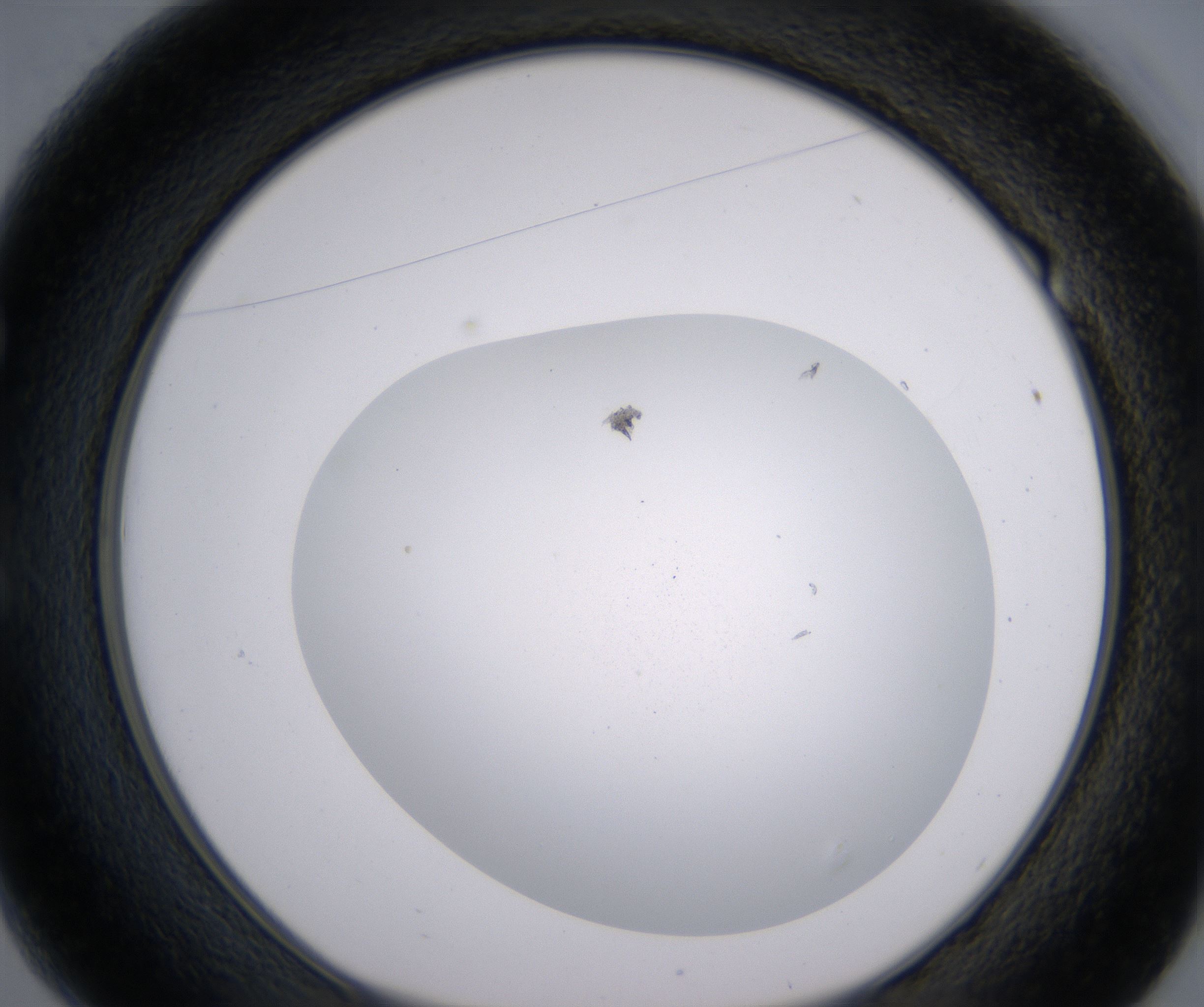E1_HighResolution_Clear_1.jpg