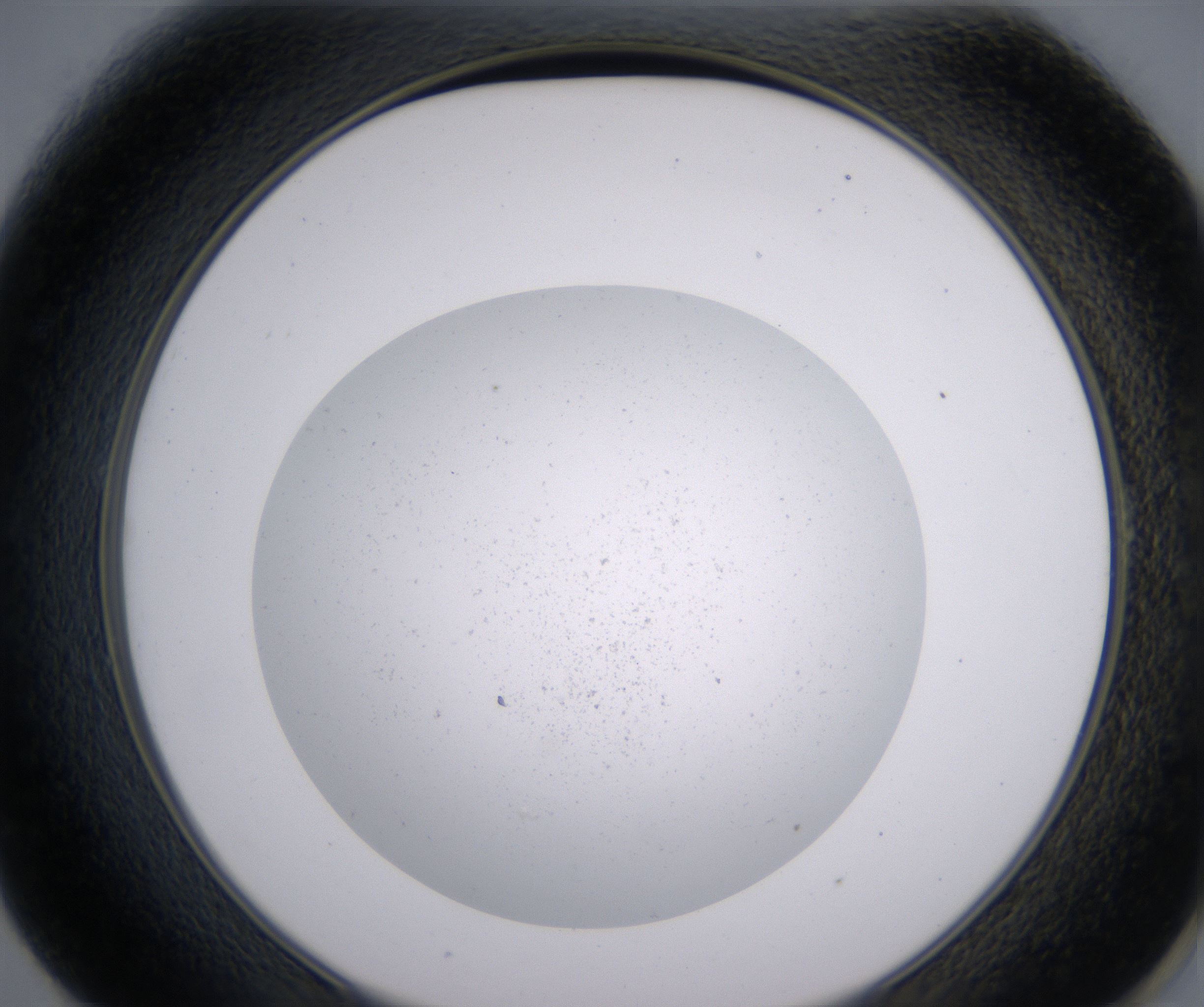E1_HighResolution_Precipitate_2.jpg