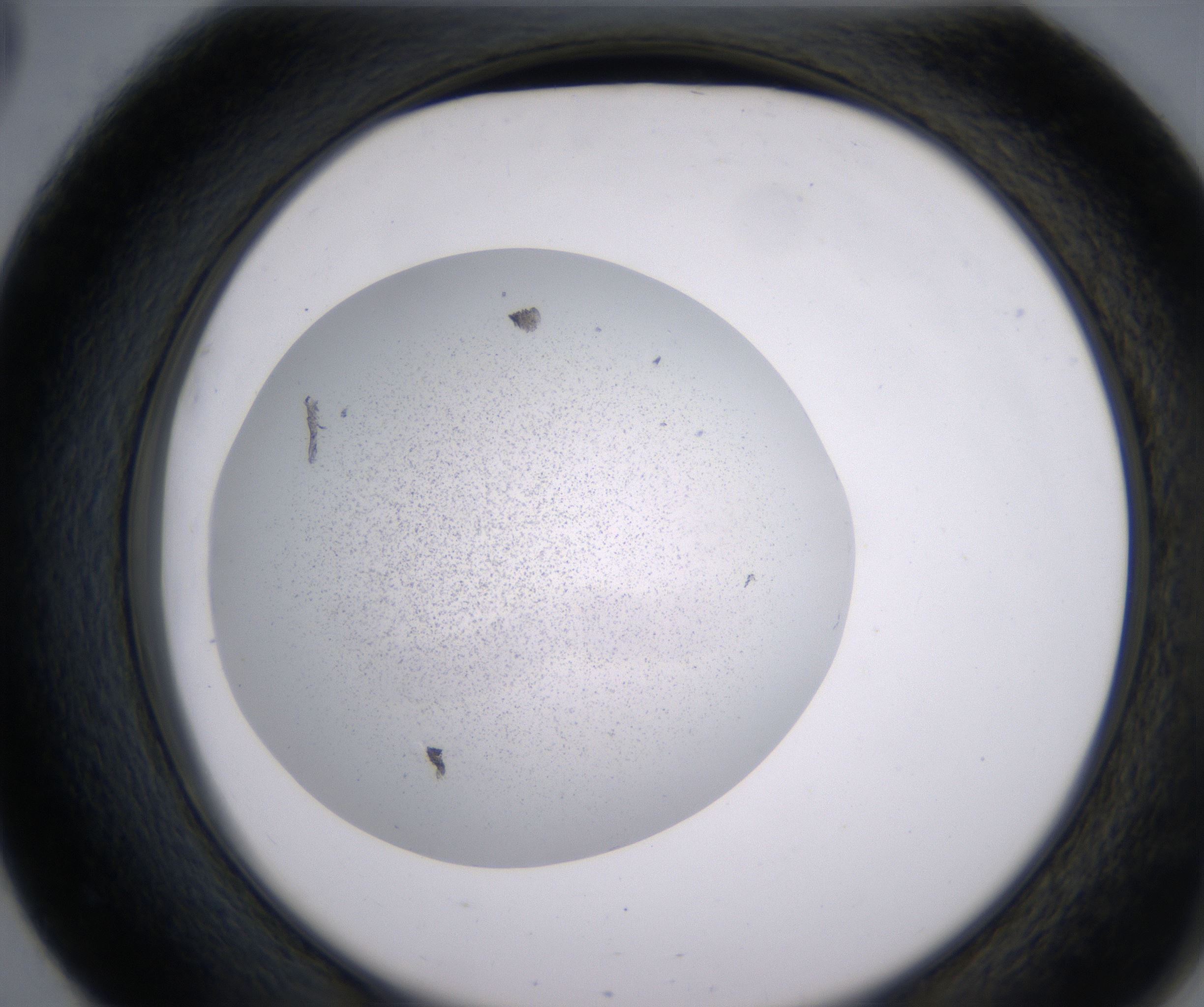 E3_HighResolution_Precipitate_2.jpg