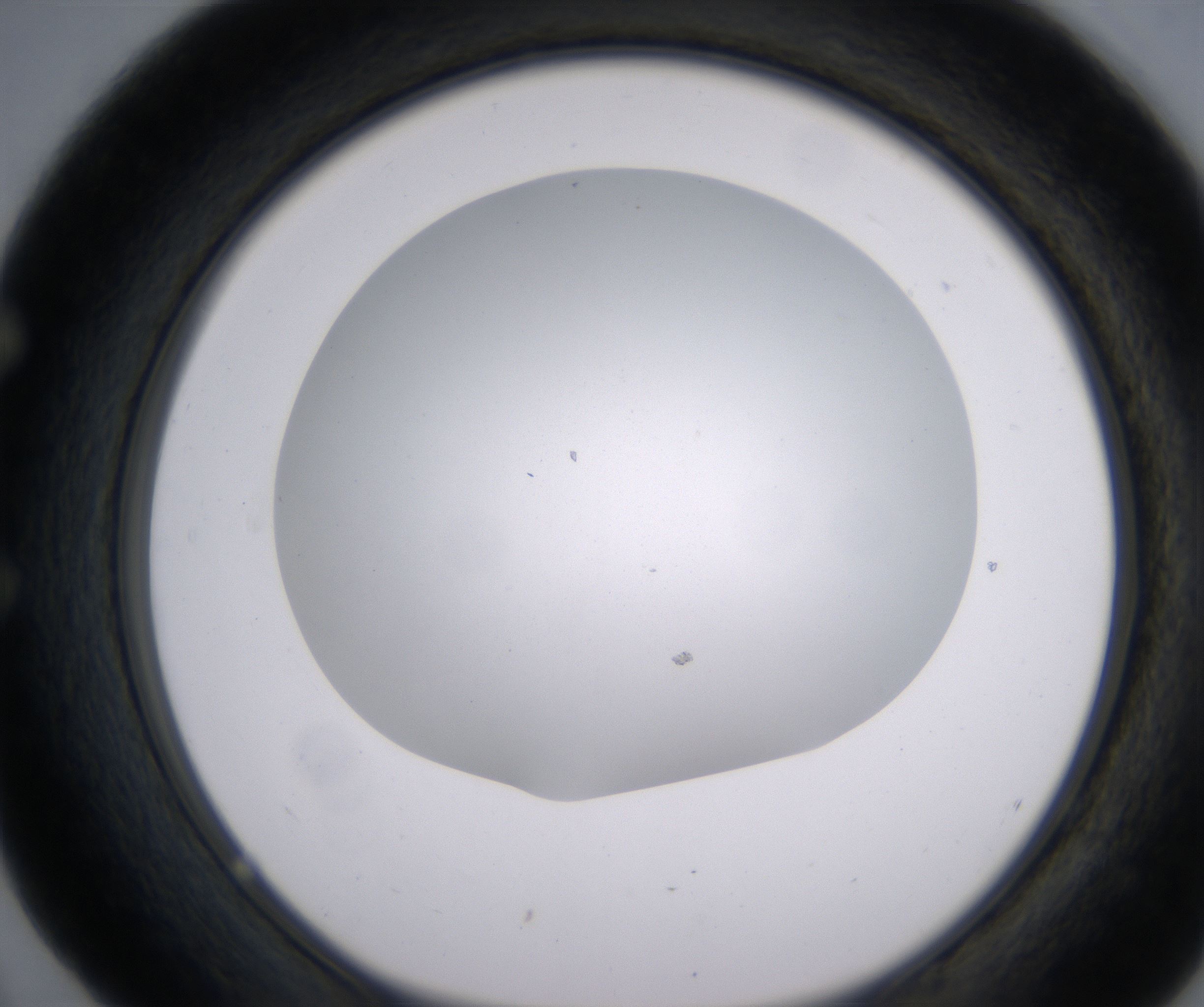 E4_HighResolution_Clear_1.jpg