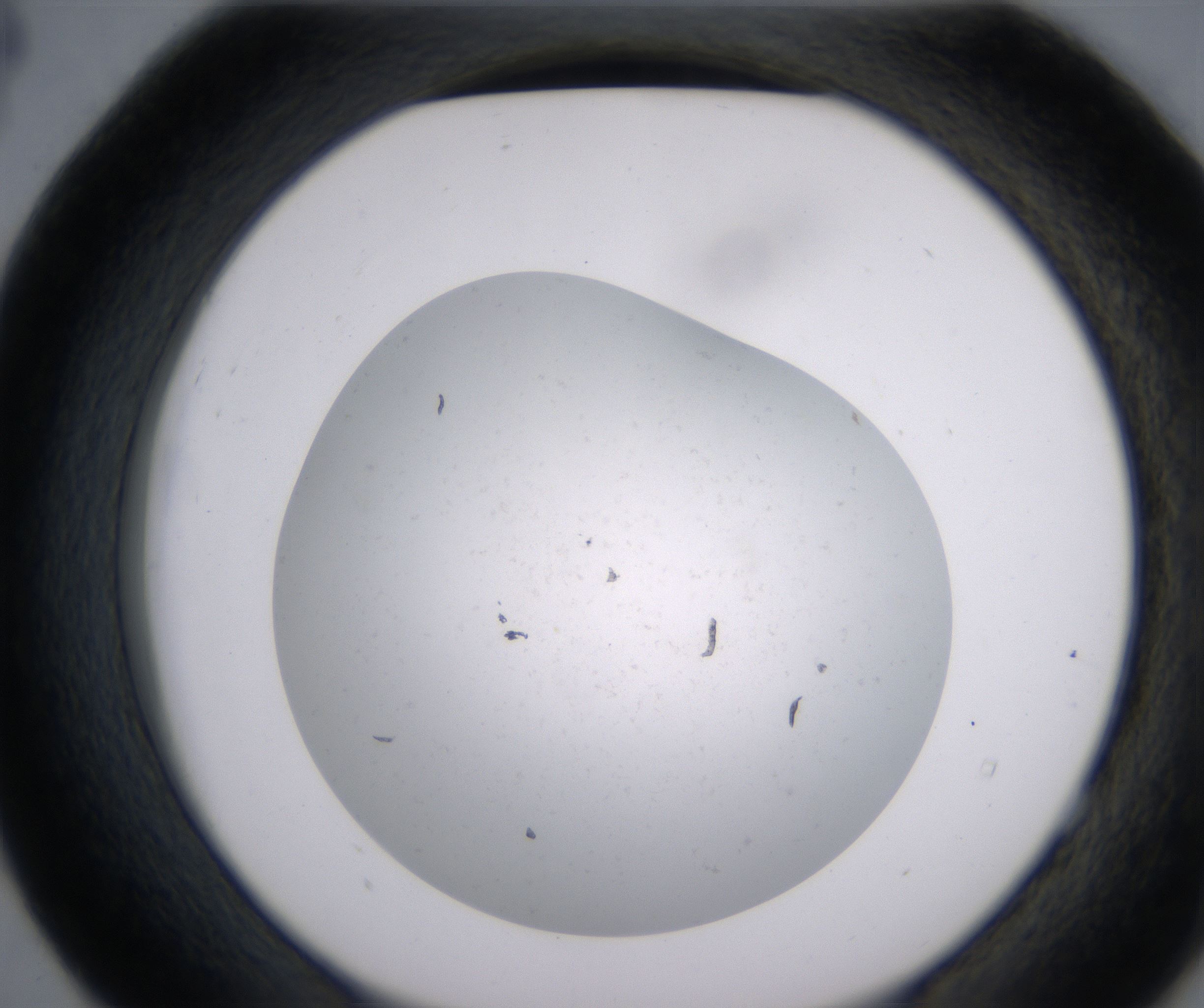 E4_HighResolution_Precipitate_2.jpg