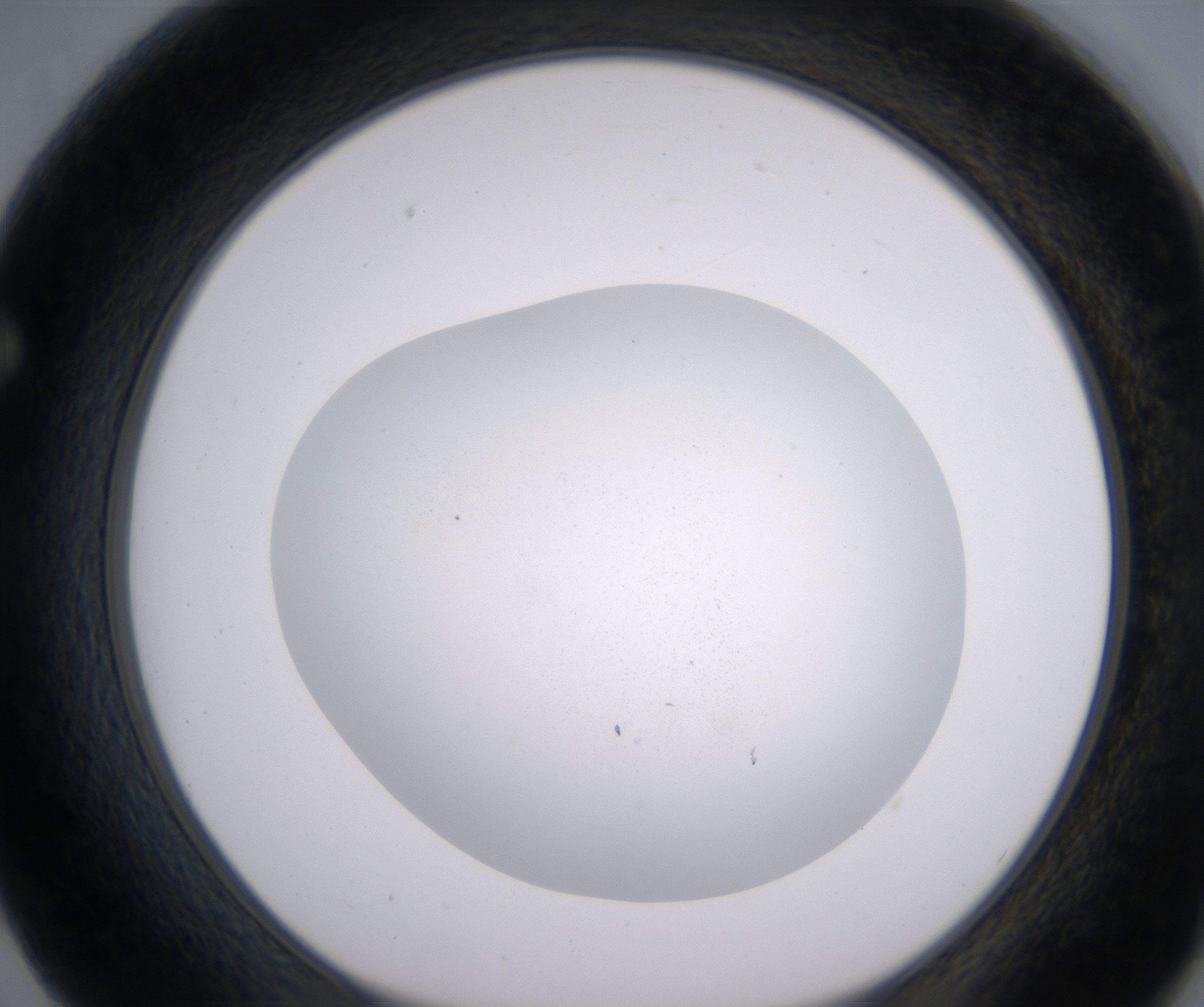 F2_HighResolution_Clear_1.jpg