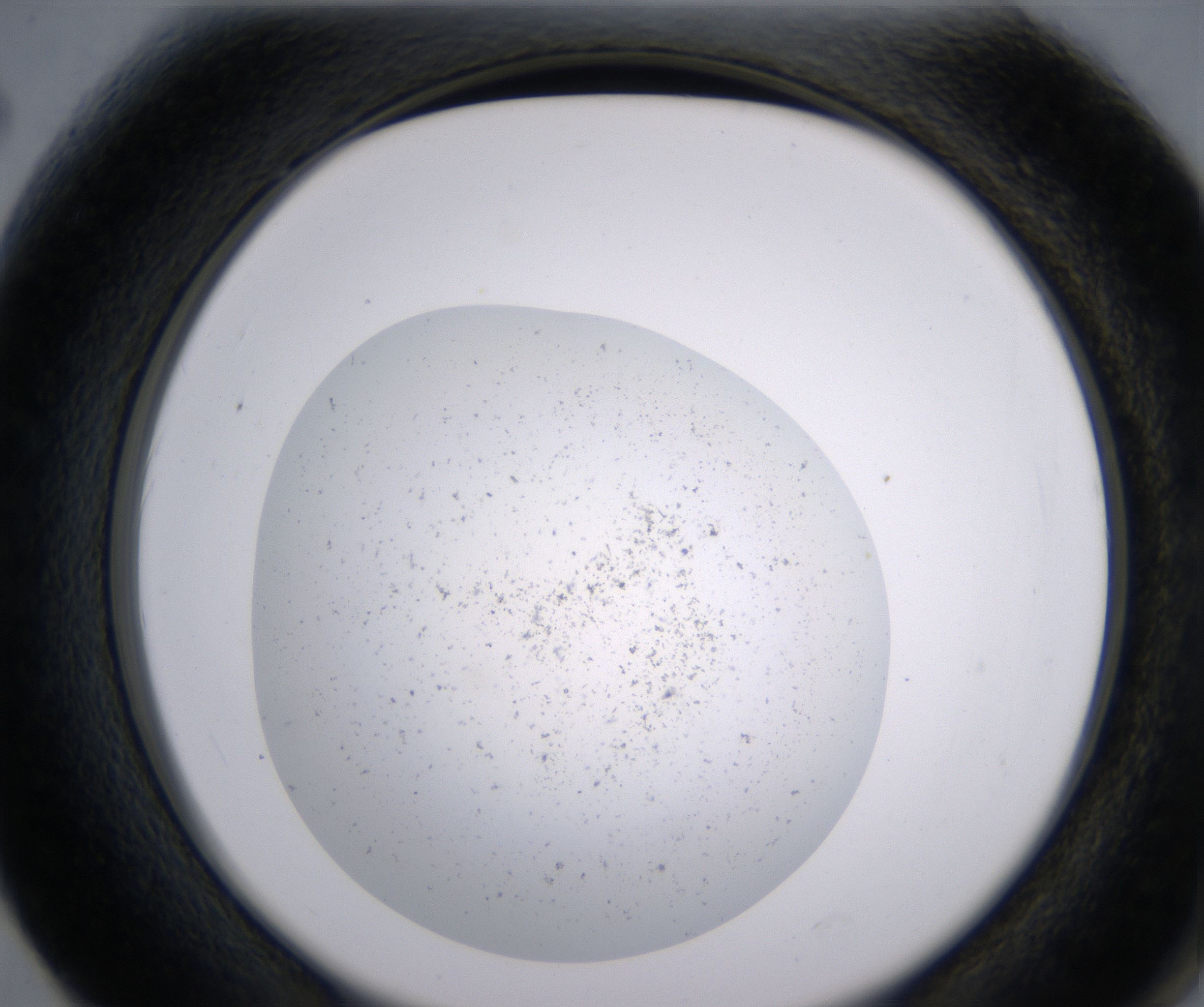 F2_HighResolution_Precipitate_2.jpg