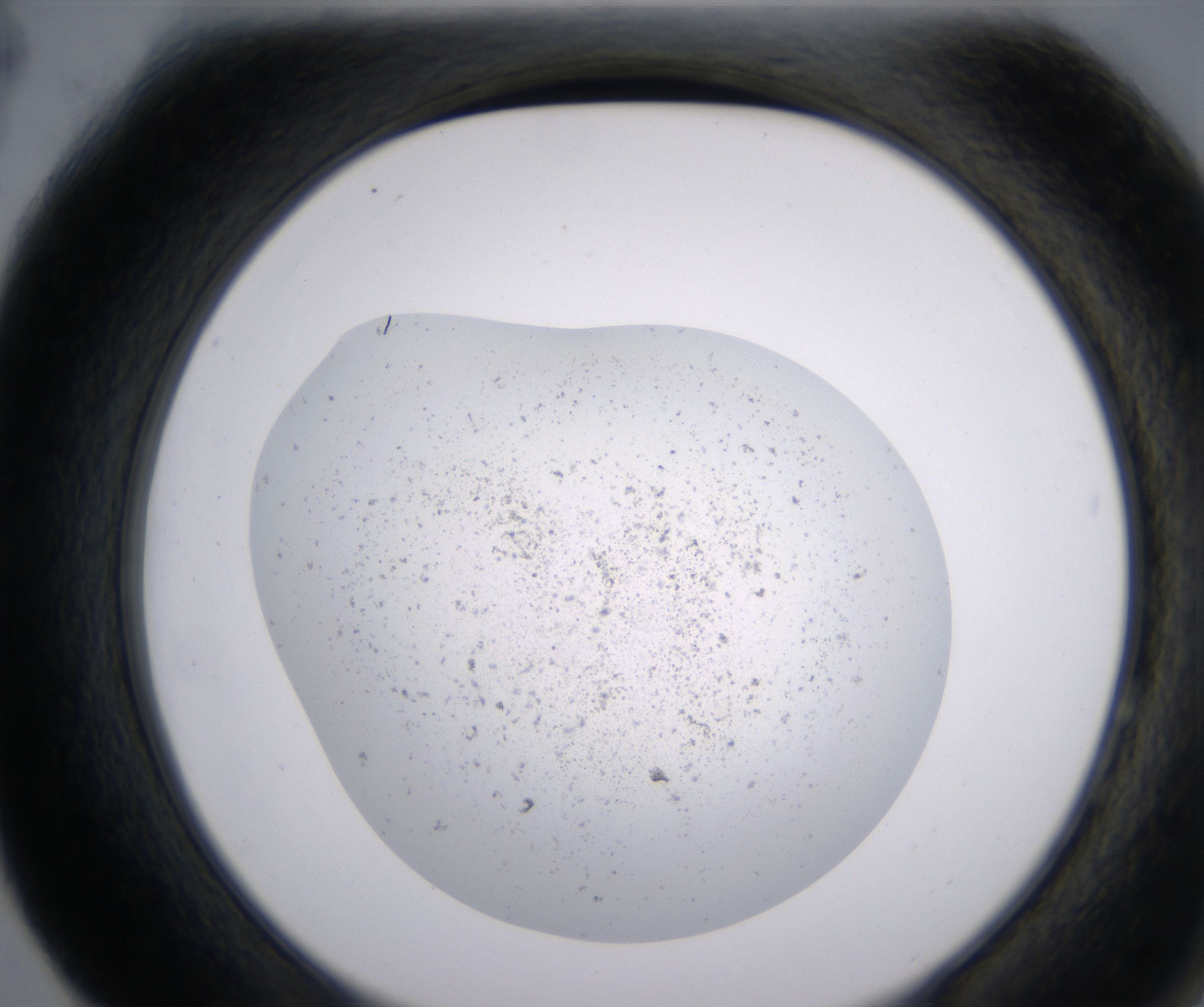 F4_HighResolution_Precipitate_2.jpg
